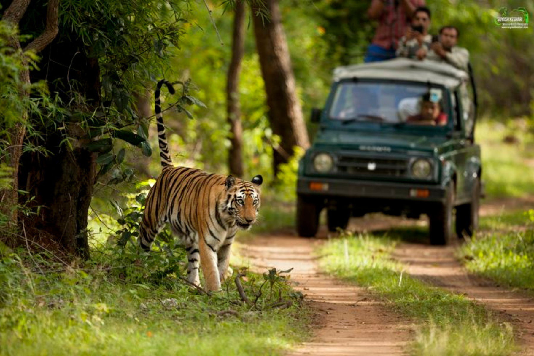 Delhi Agra Jaipur 5-Days Golden Triangle Tour with Safari