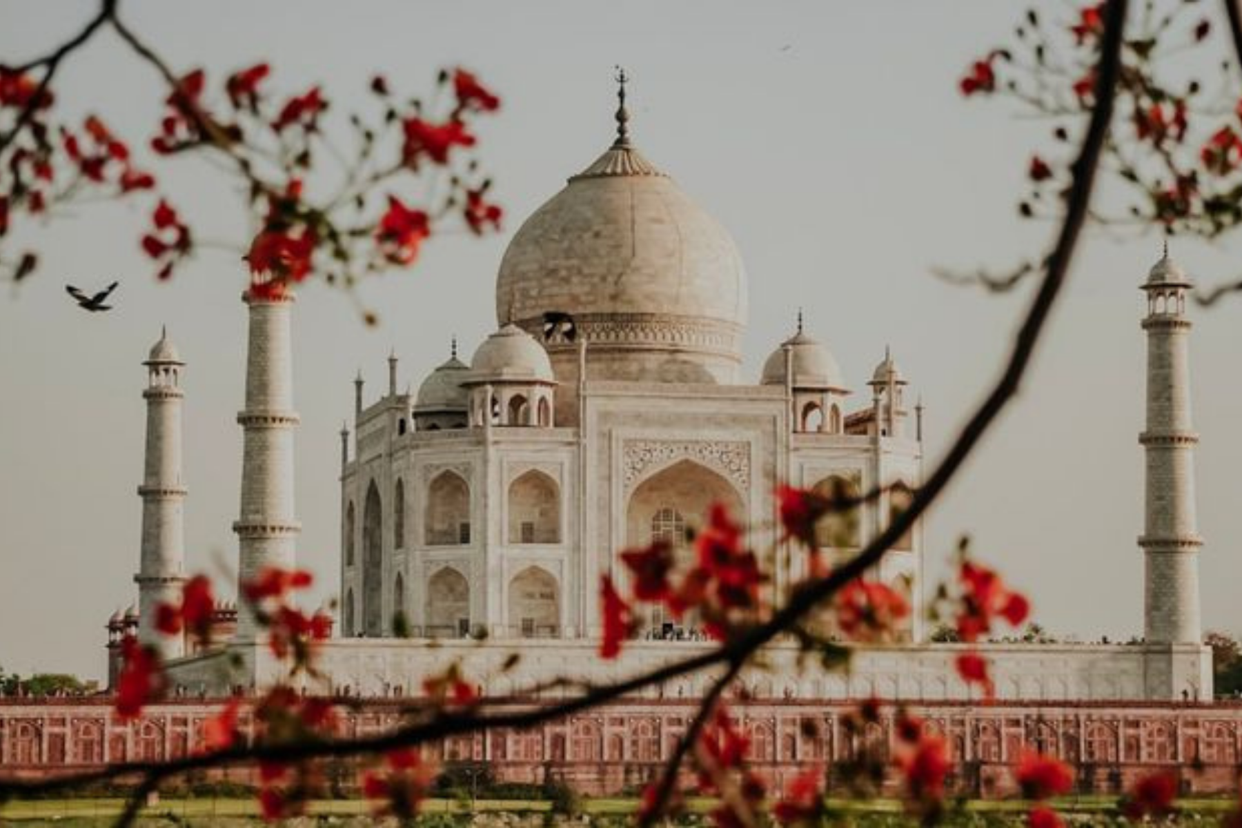 Delhi Agra Jaipur 7-Days Tour with Varanasi & Tiger safari