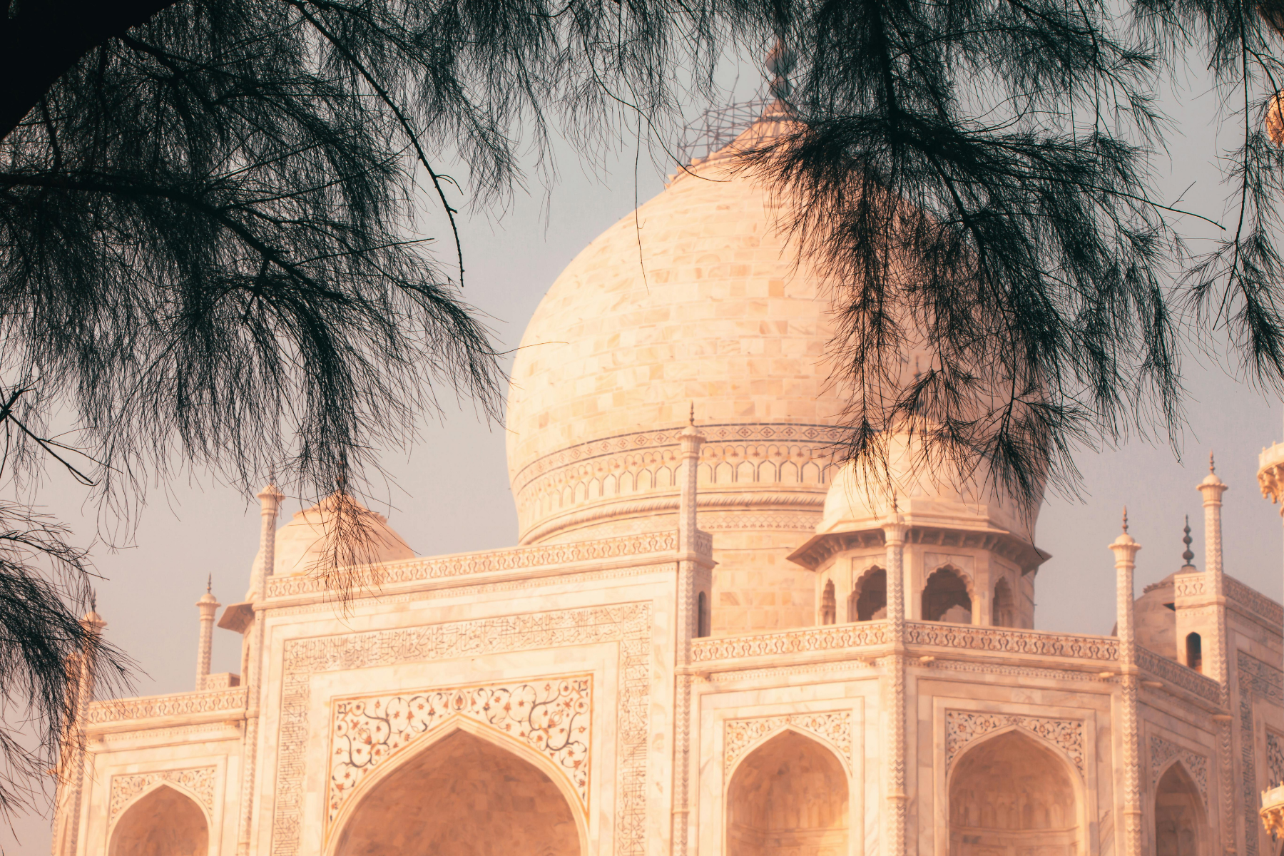 Taj Mahal Agra Fort Tour with Skip the line and 5 Star Lunch