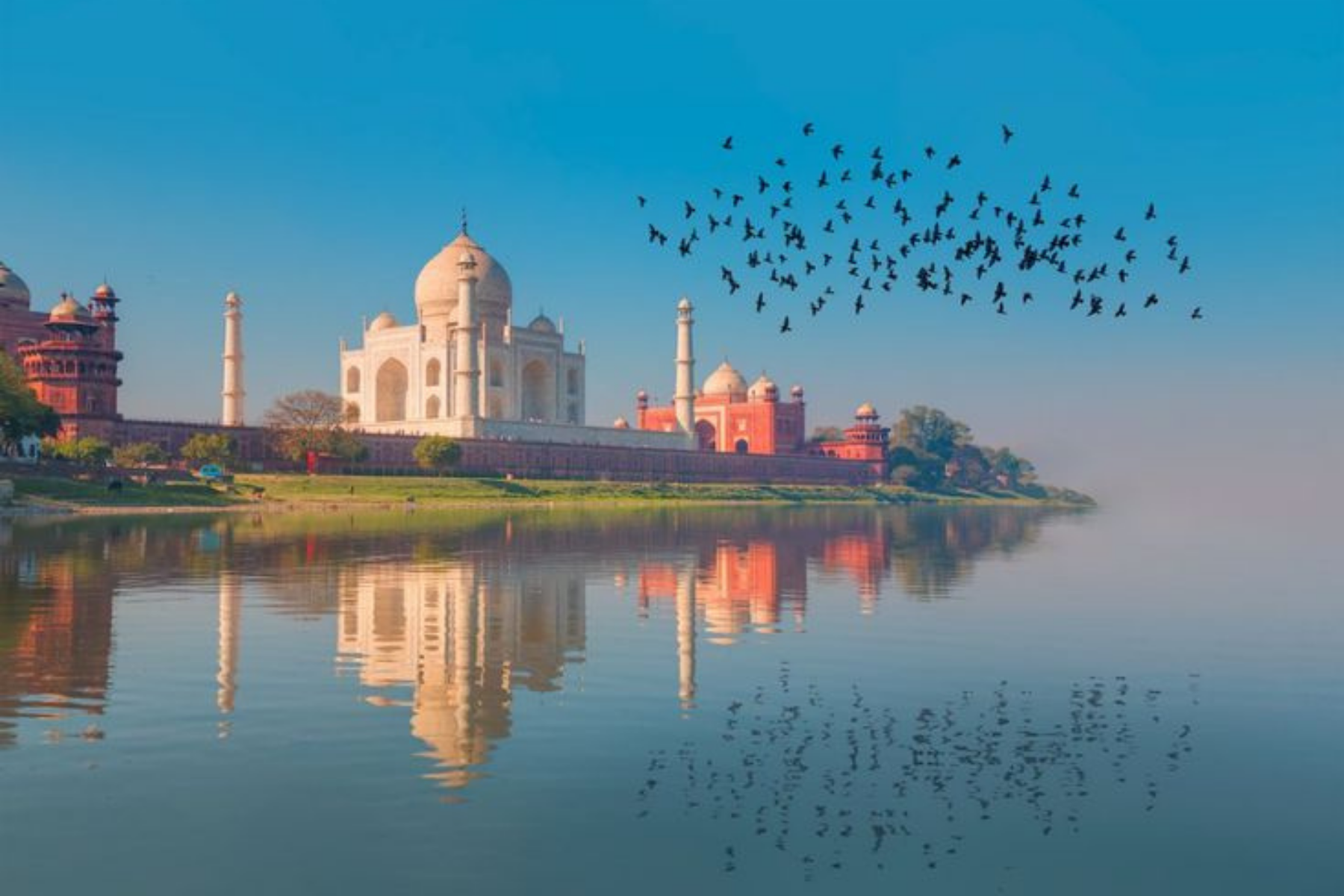 Delhi Agra Jaipur 4-Days Golden Triangle Tour with Tiger Safari