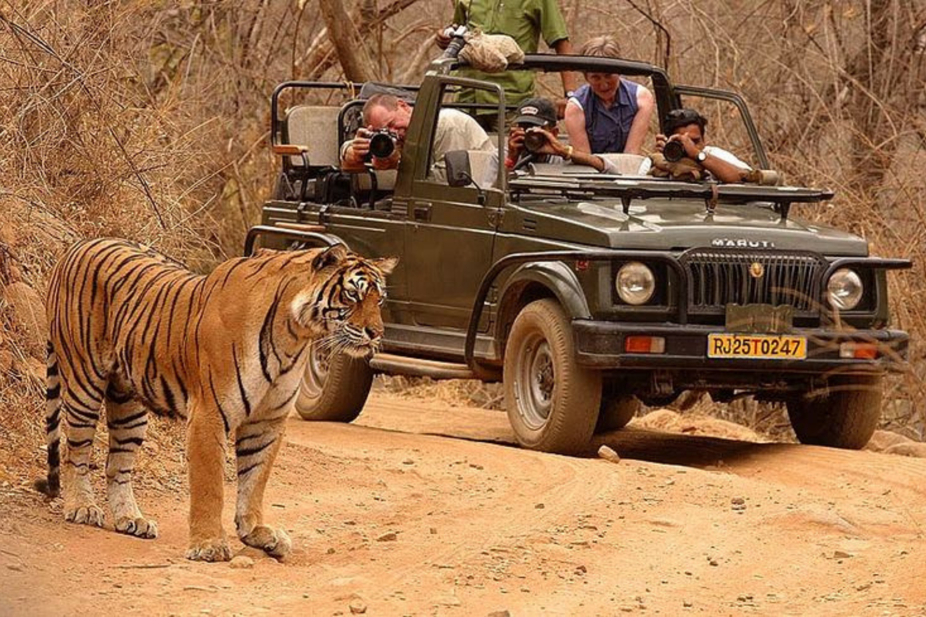 Delhi Agra Jaipur 4-Days Golden Triangle Tour with Tiger Safari