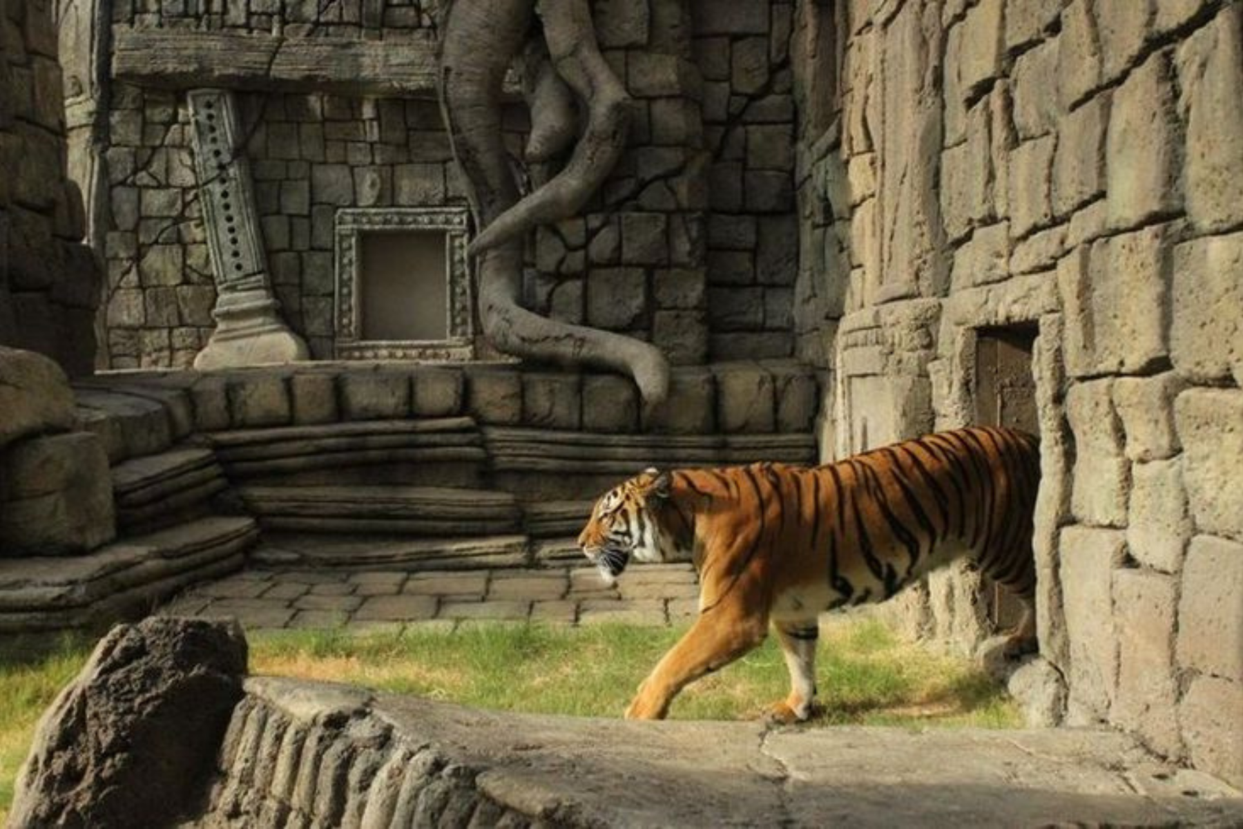 Delhi Agra Jaipur 4-Days Golden Triangle Tour with Tiger Safari