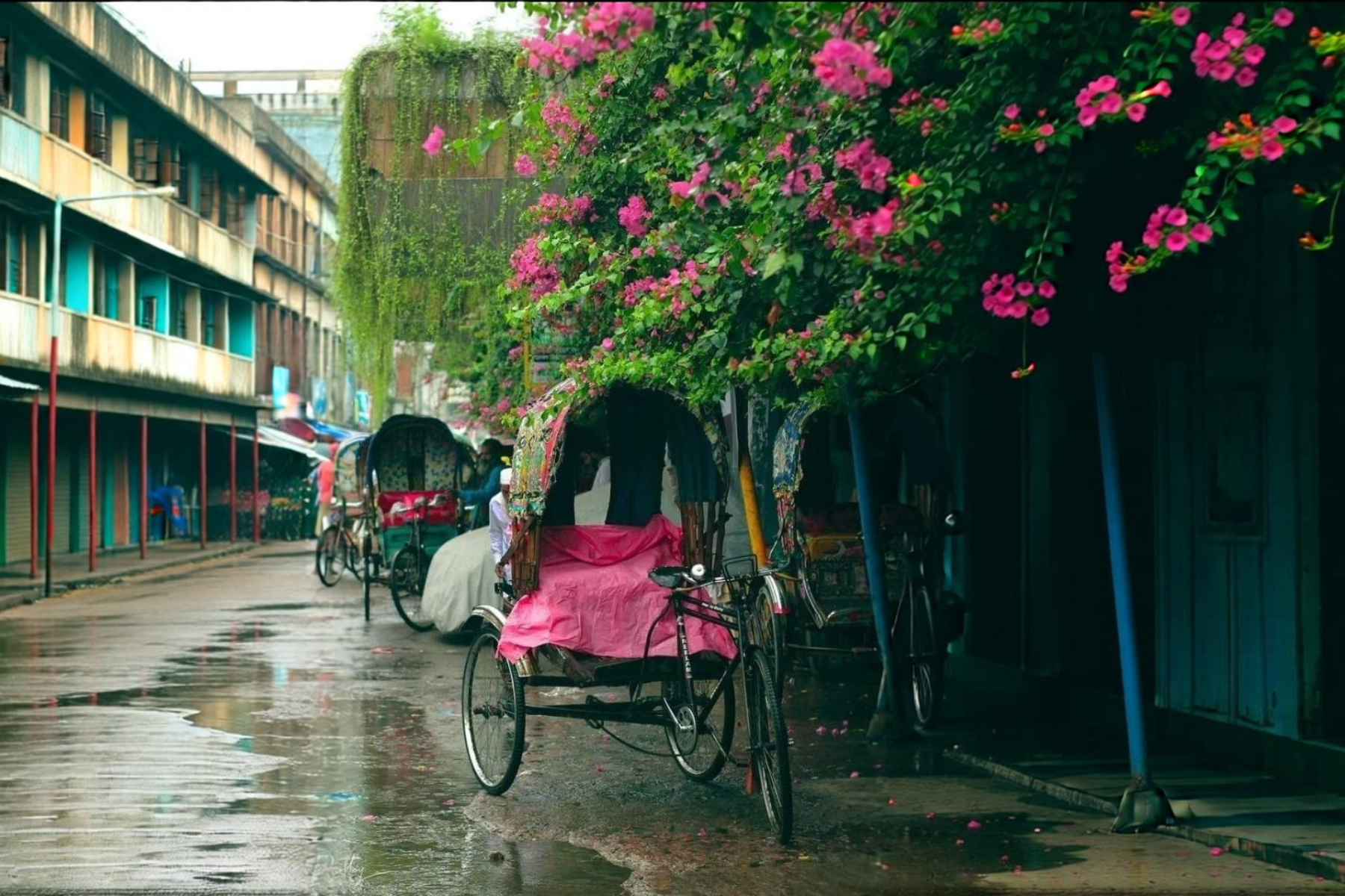 Old Delhi Heritage Walking tour with Rickshaw ride