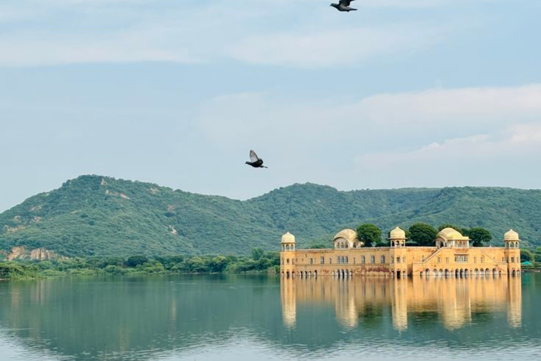 Jaipur Half Day Private Sightseeing Tour with Local Guide