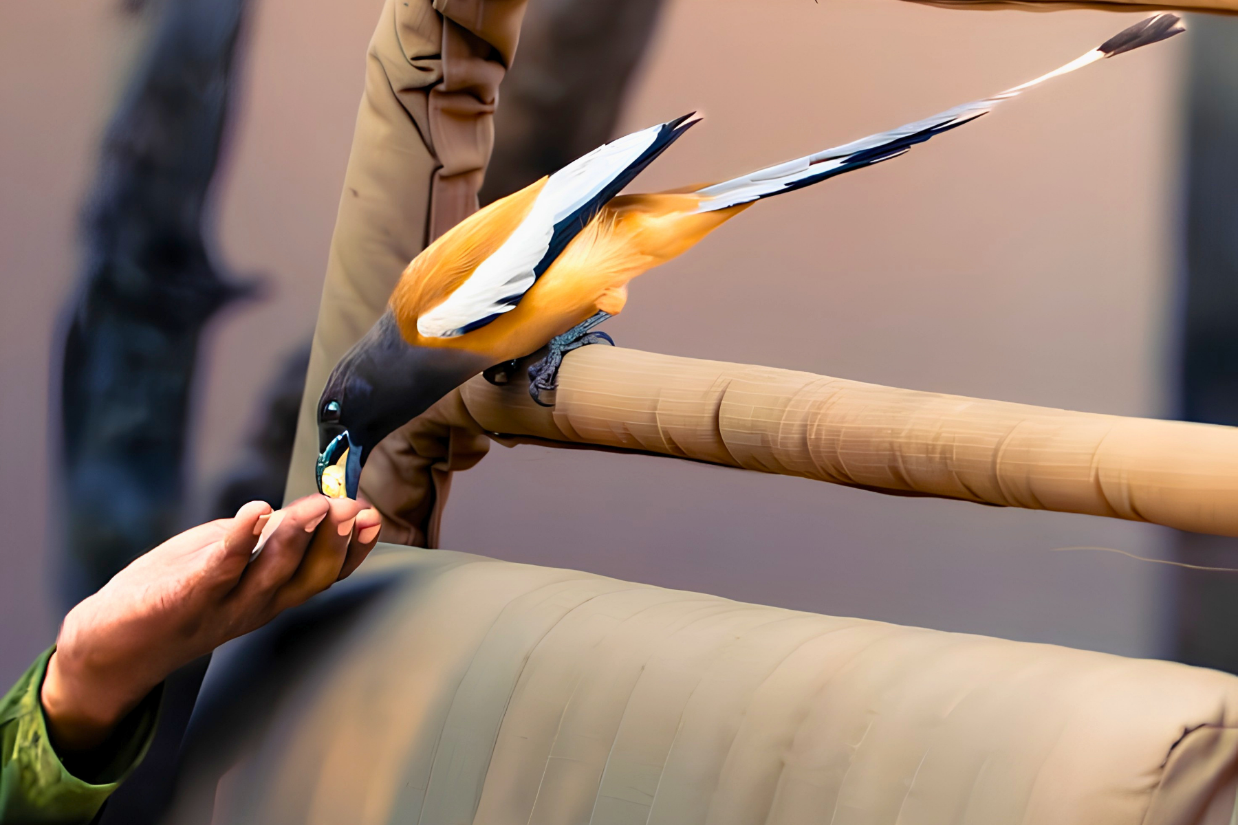 Jaipur to Ranthambore National Park Day Tour with Tiger Safari