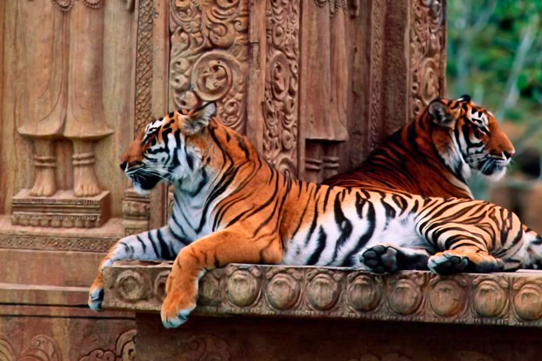 Jaipur to Ranthambore National Park Day Tour with Tiger Safari