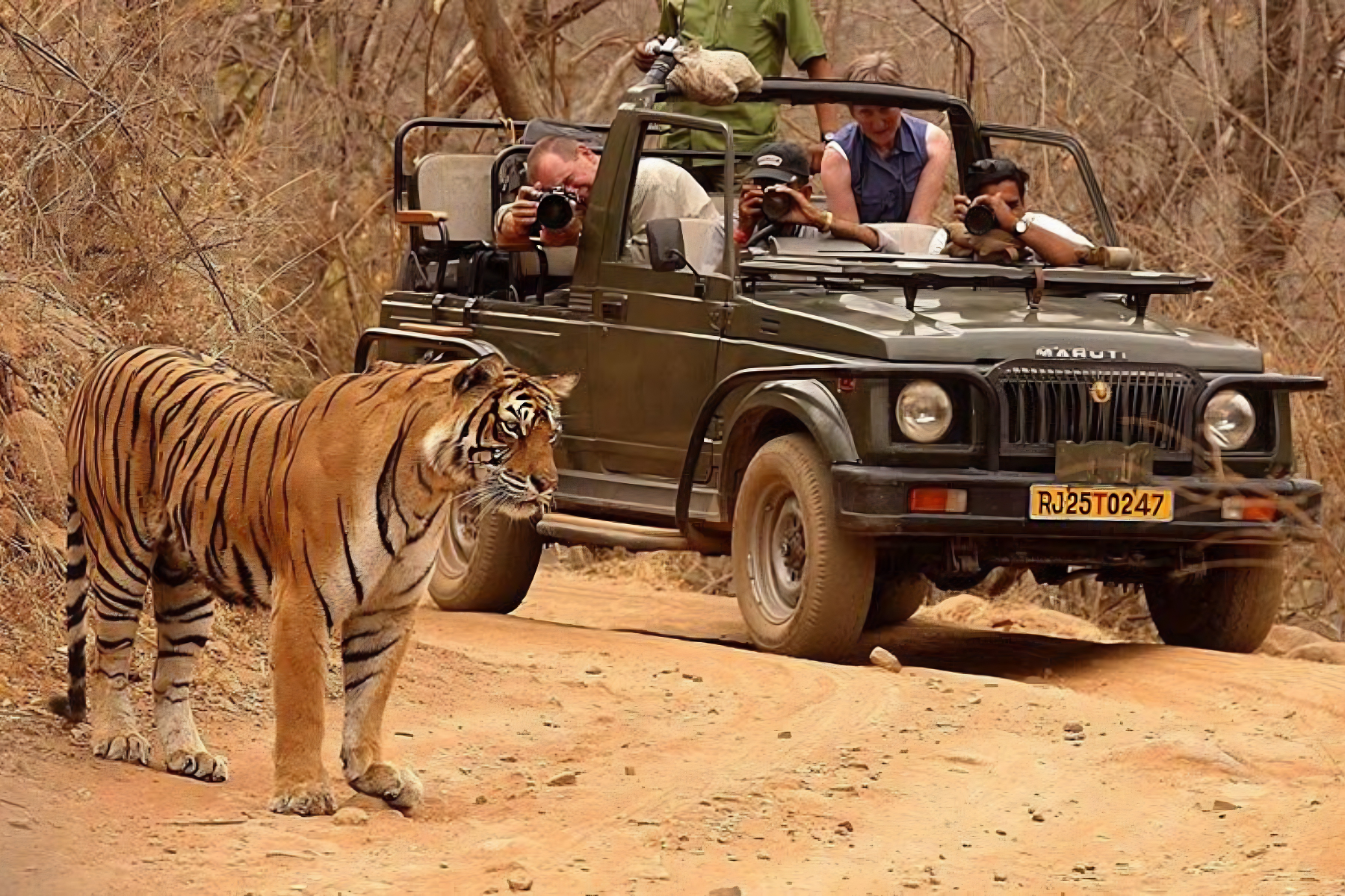 Jaipur to Ranthambore National Park Day Tour with Tiger Safari