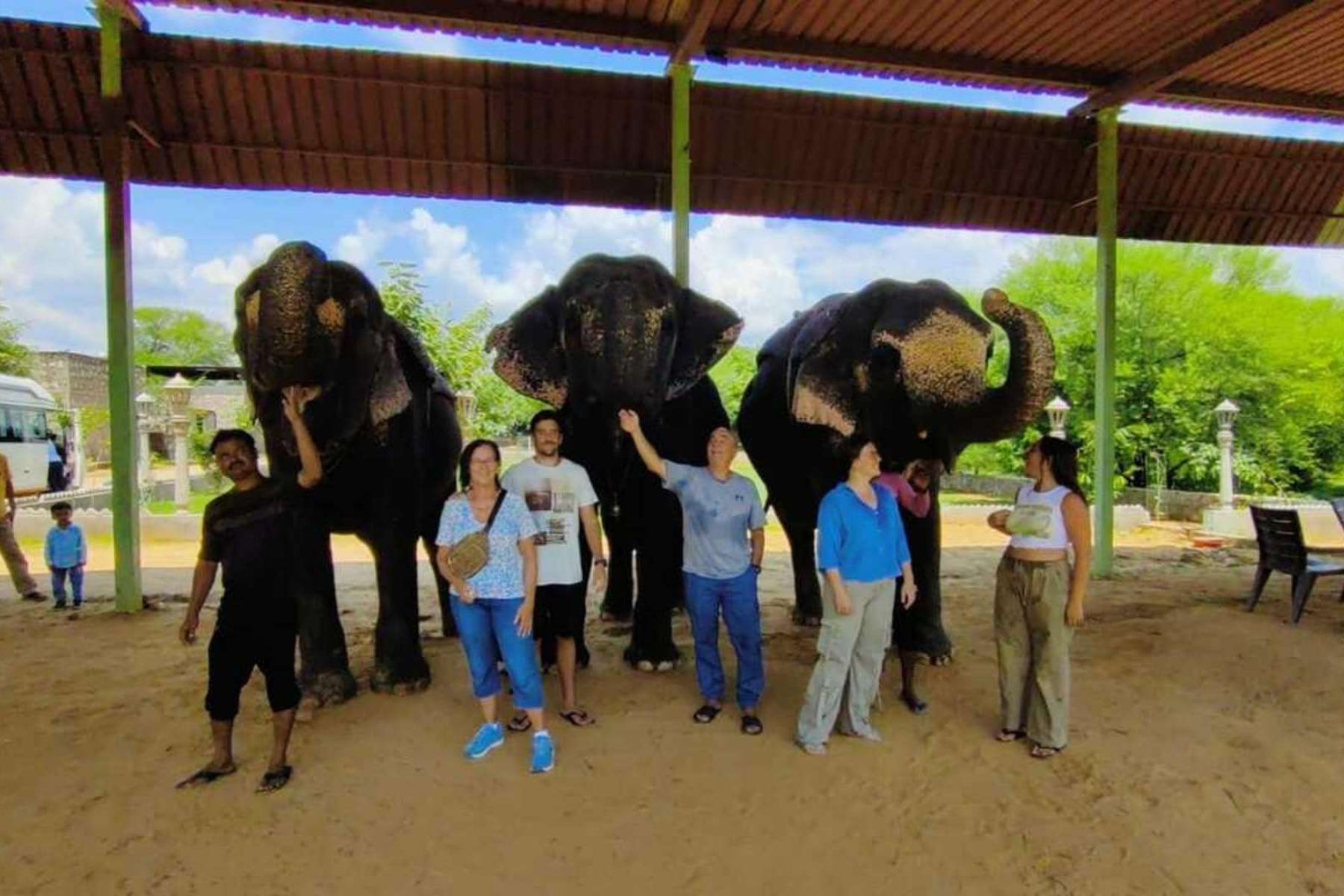 All-Inclusive Day Trip of Taj Mahal with Elephant SOS from Delhi