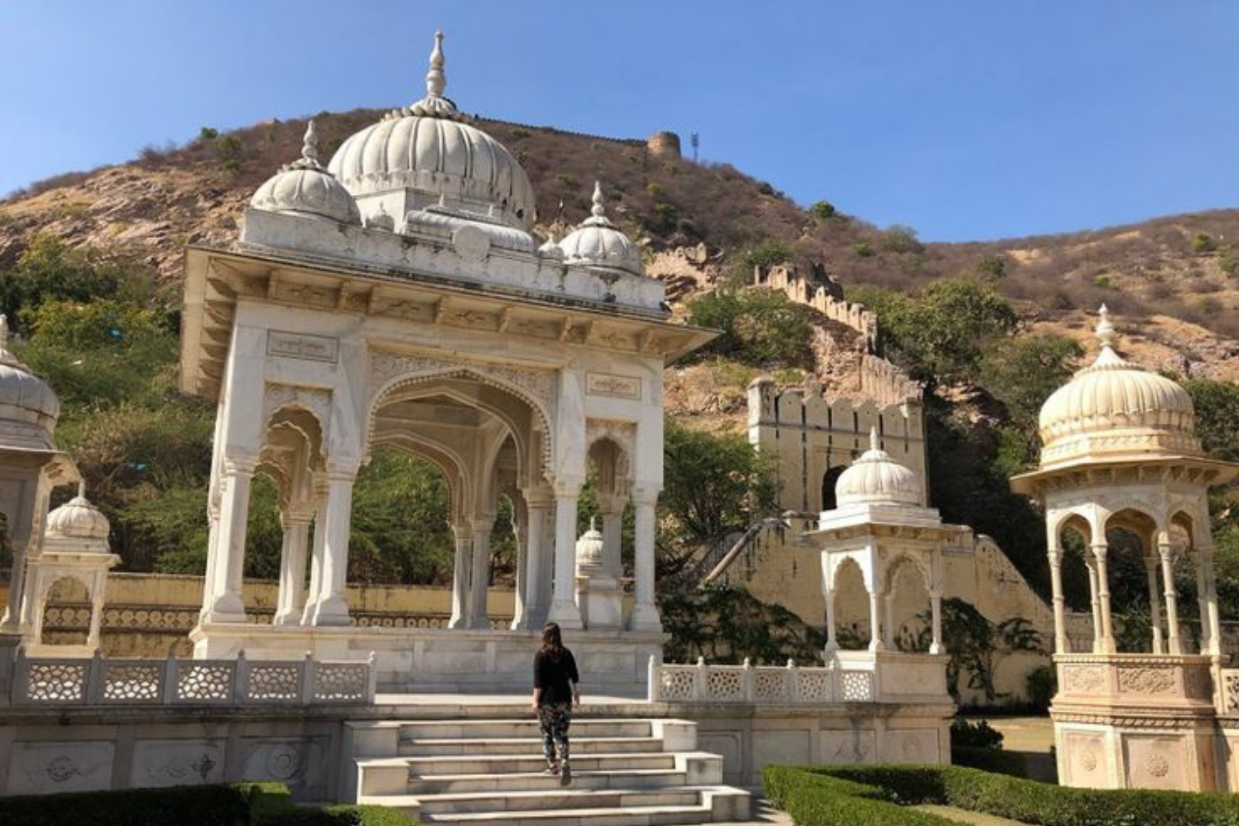 Jaipur Half Day Private Sightseeing Tour with Local Guide