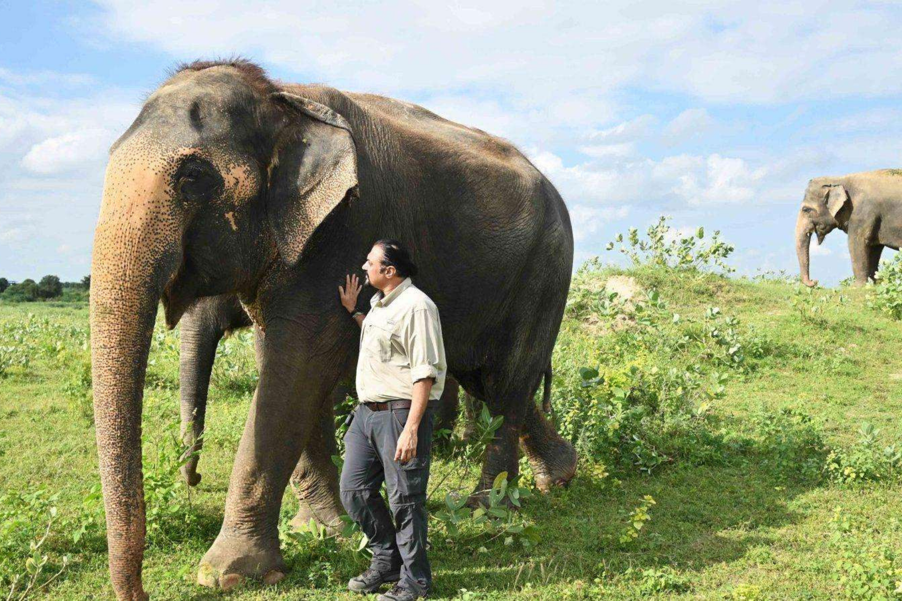 All-Inclusive Day Trip of Taj Mahal with Elephant SOS from Delhi