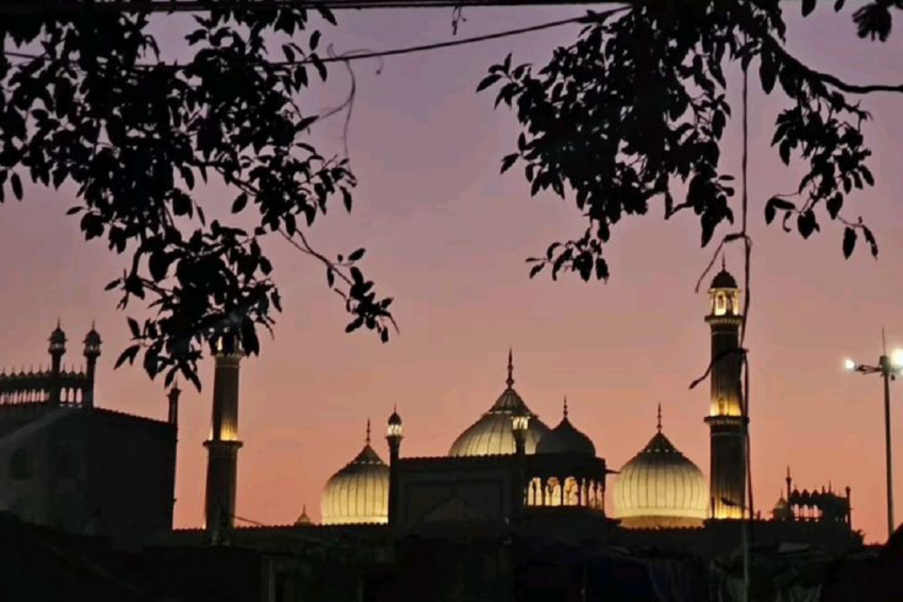 Best of Old Delhi Evening Tour with Street Food