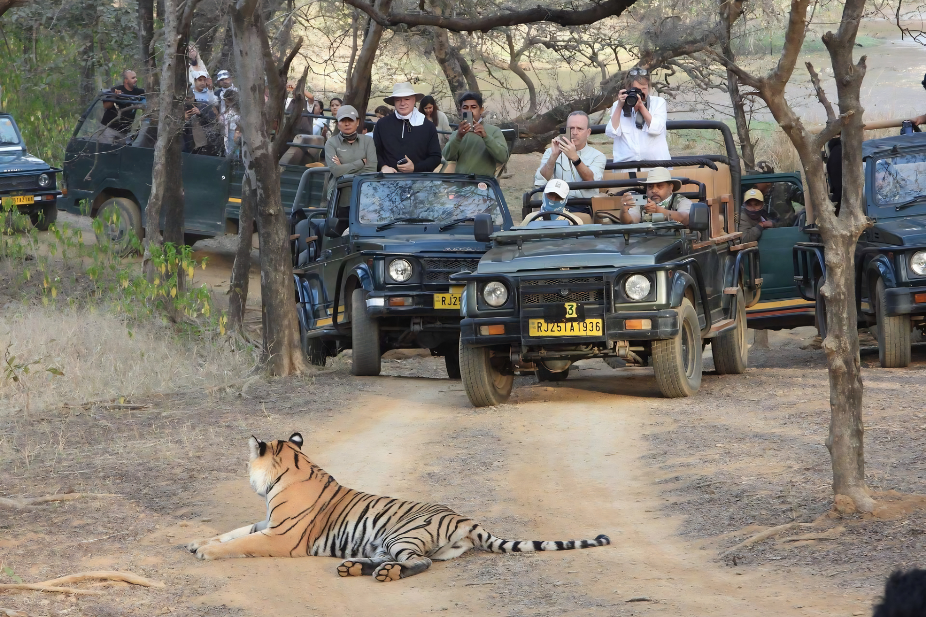 Jaipur to Ranthambore National Park Day Tour with Tiger Safari