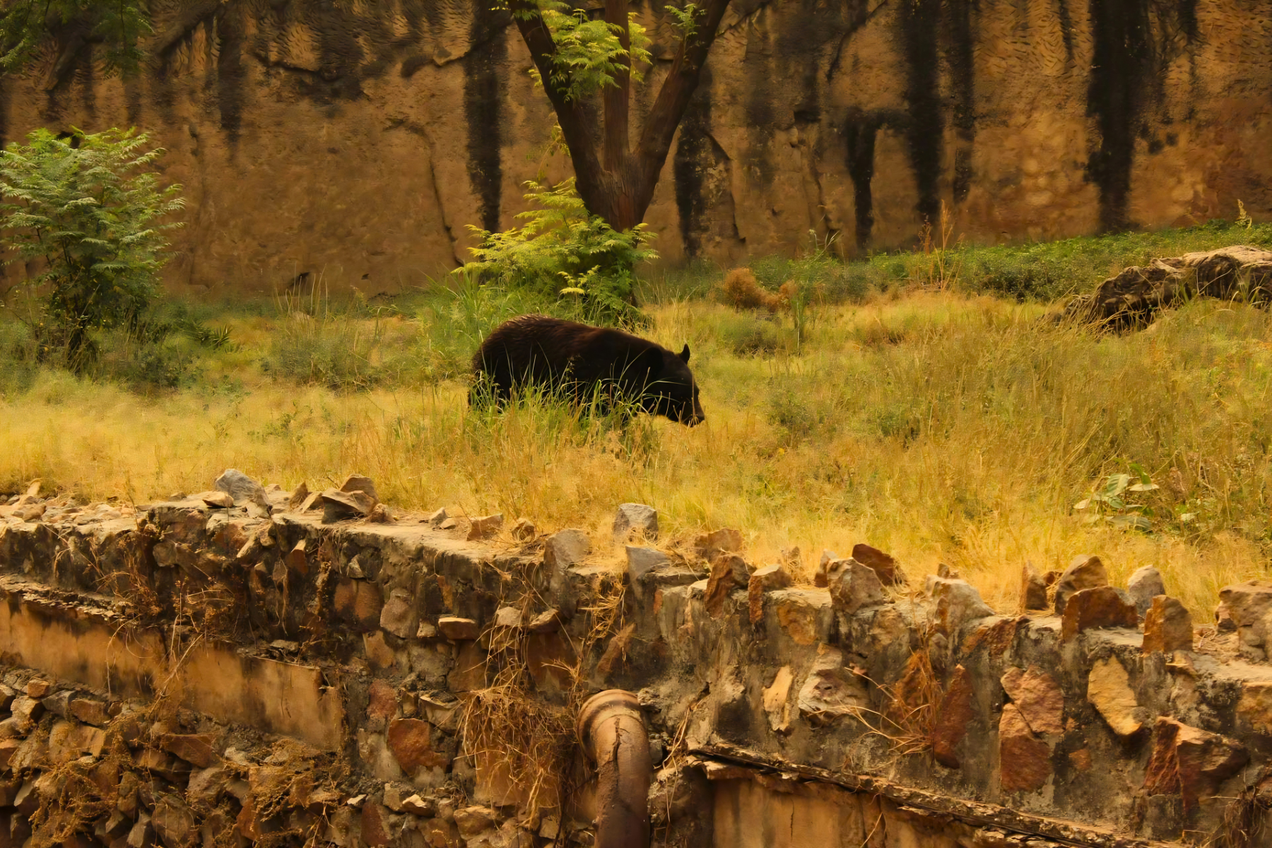 Jaipur to Ranthambore National Park Day Tour with Tiger Safari