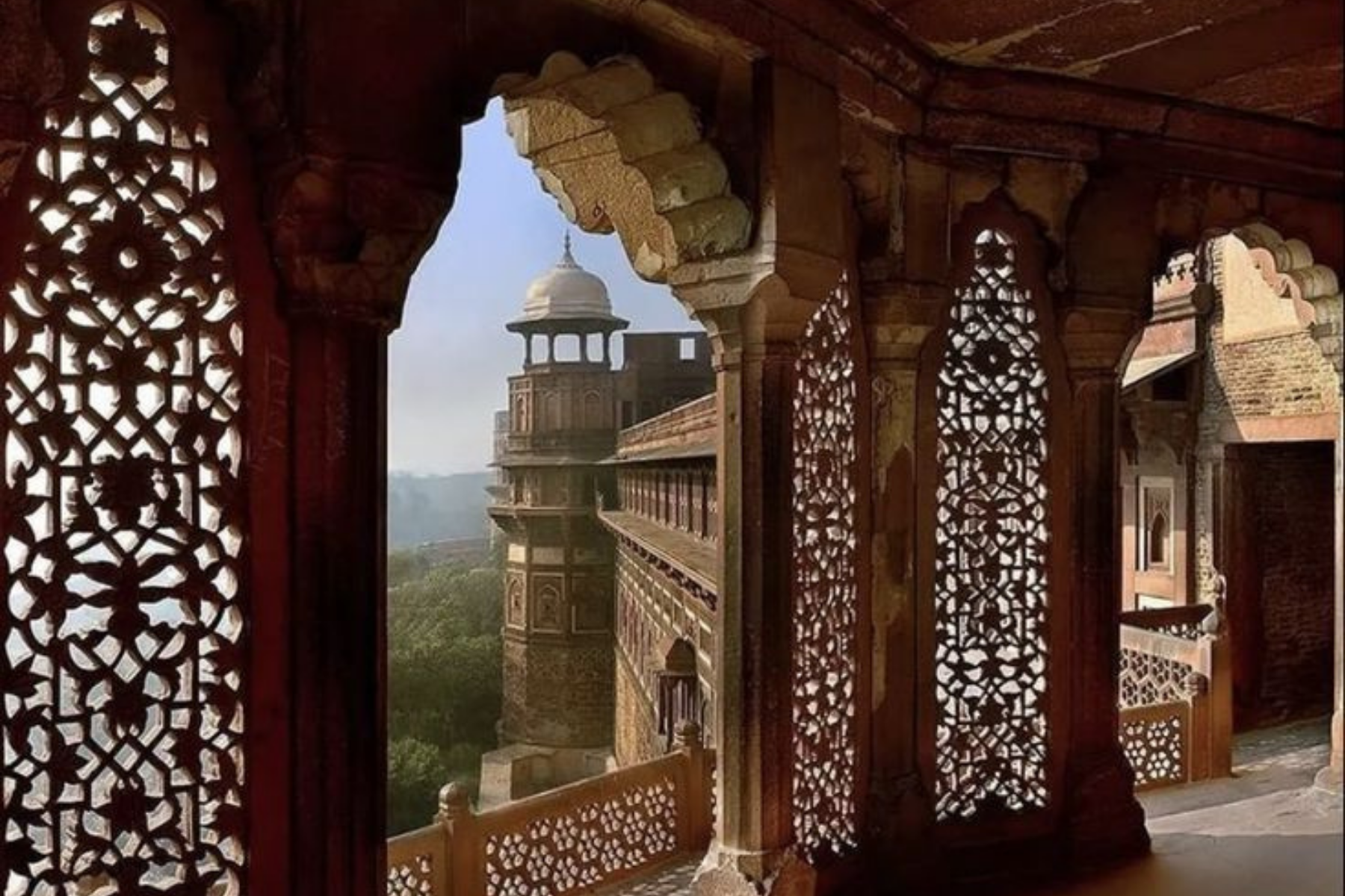 All-Inclusive Day Trip of Taj Mahal with Elephant SOS from Delhi