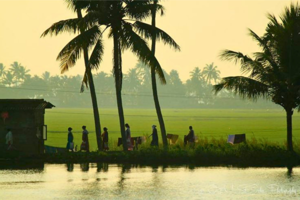 Kochi Village & Backwater Cruise Day Tour