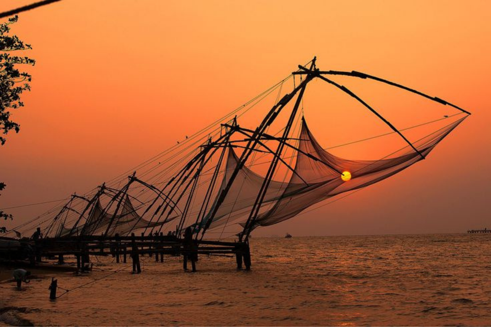 Kochi Private Tuk Tuk City Tour with Hotel Pickup