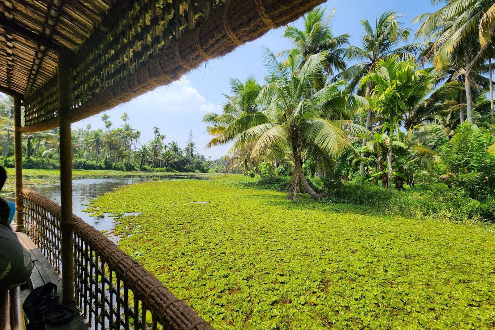 Kochi Village & Backwater Cruise Day Tour