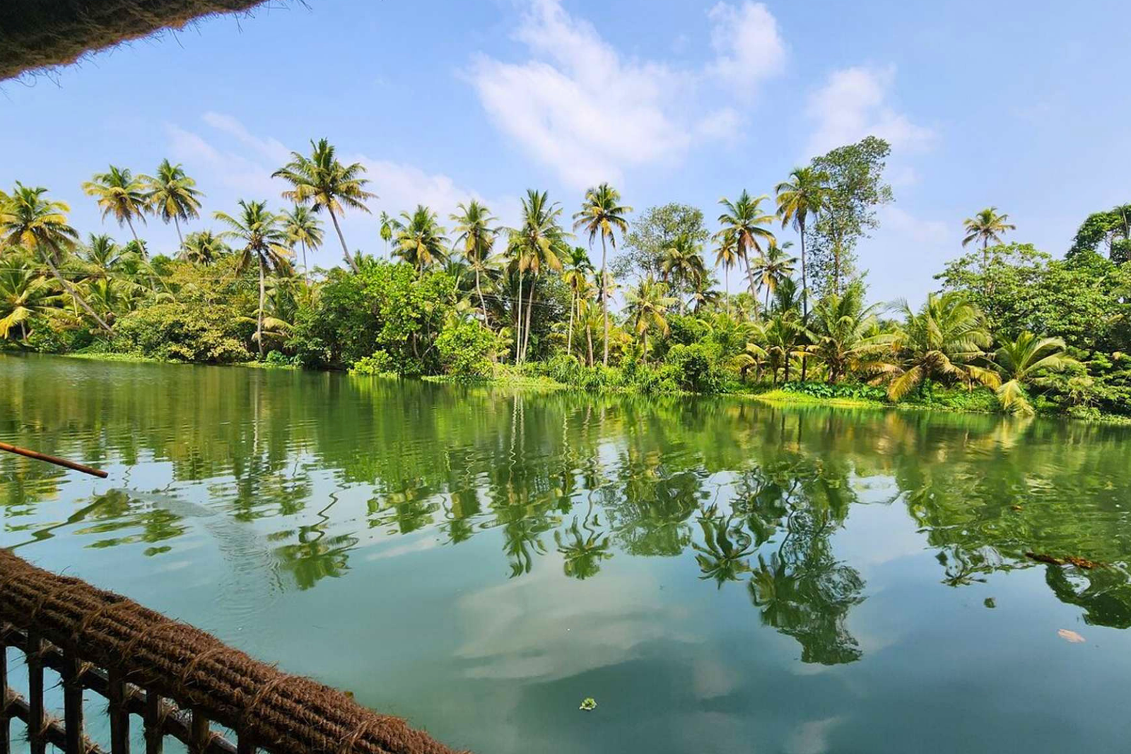 Kochi Village & Backwater Cruise Day Tour