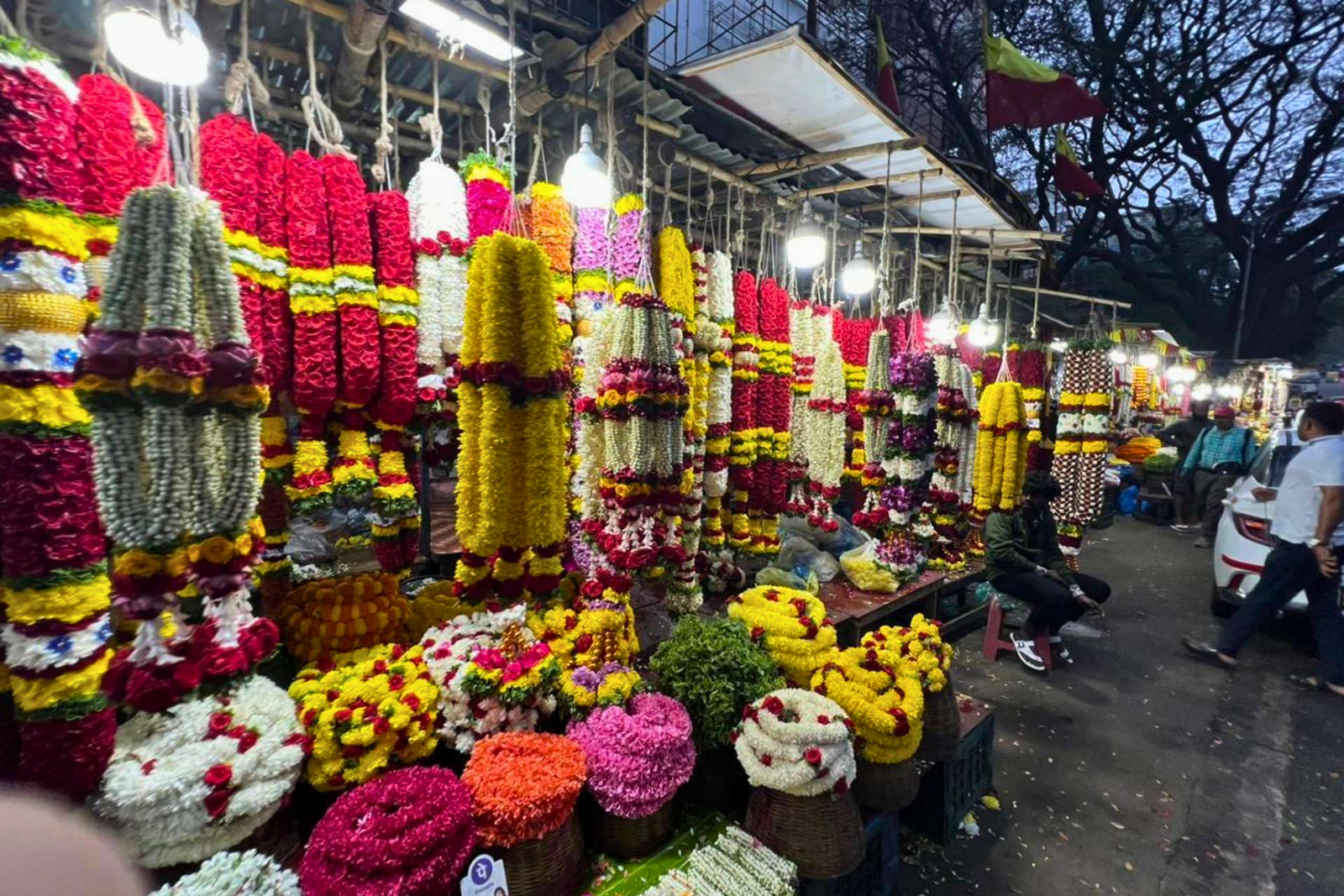 Explore the Off Beat Bangalore with a Local