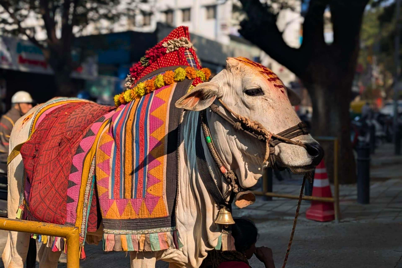 Explore the Off Beat Bangalore with a Local
