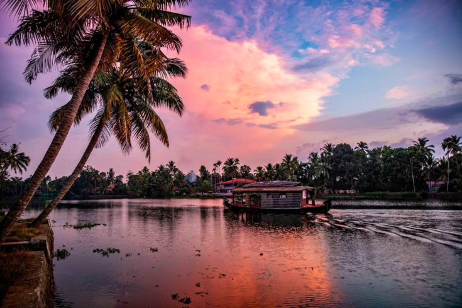 Kochi Village & Backwater Cruise Day Tour