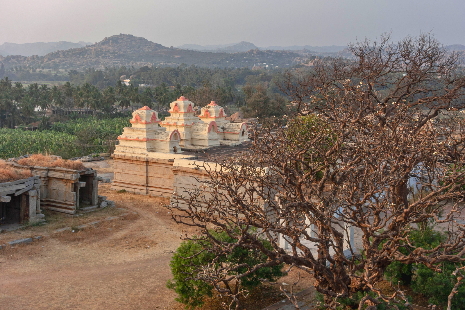 Explore the Off Beat Bangalore with a Local
