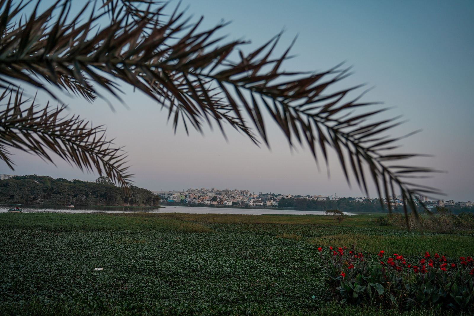 Explore the Off Beat Bangalore with a Local