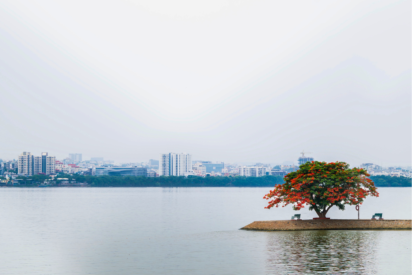 Explore the Off Beat Bangalore with a Local