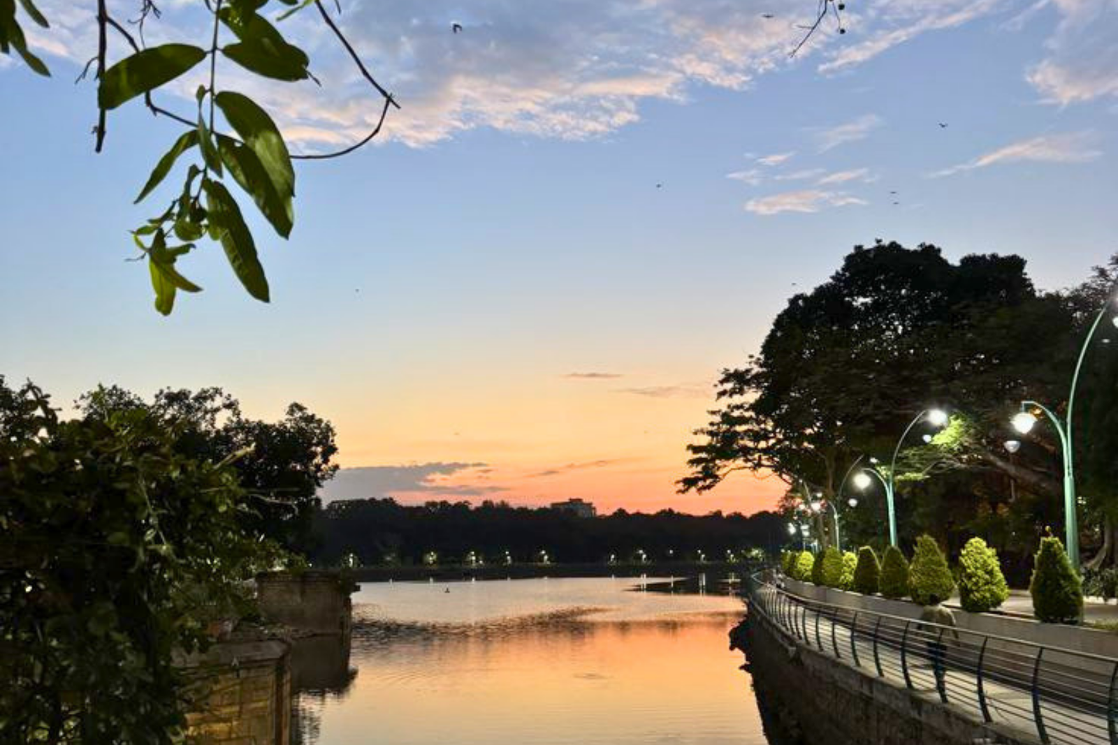 Explore the Off Beat Bangalore with a Local
