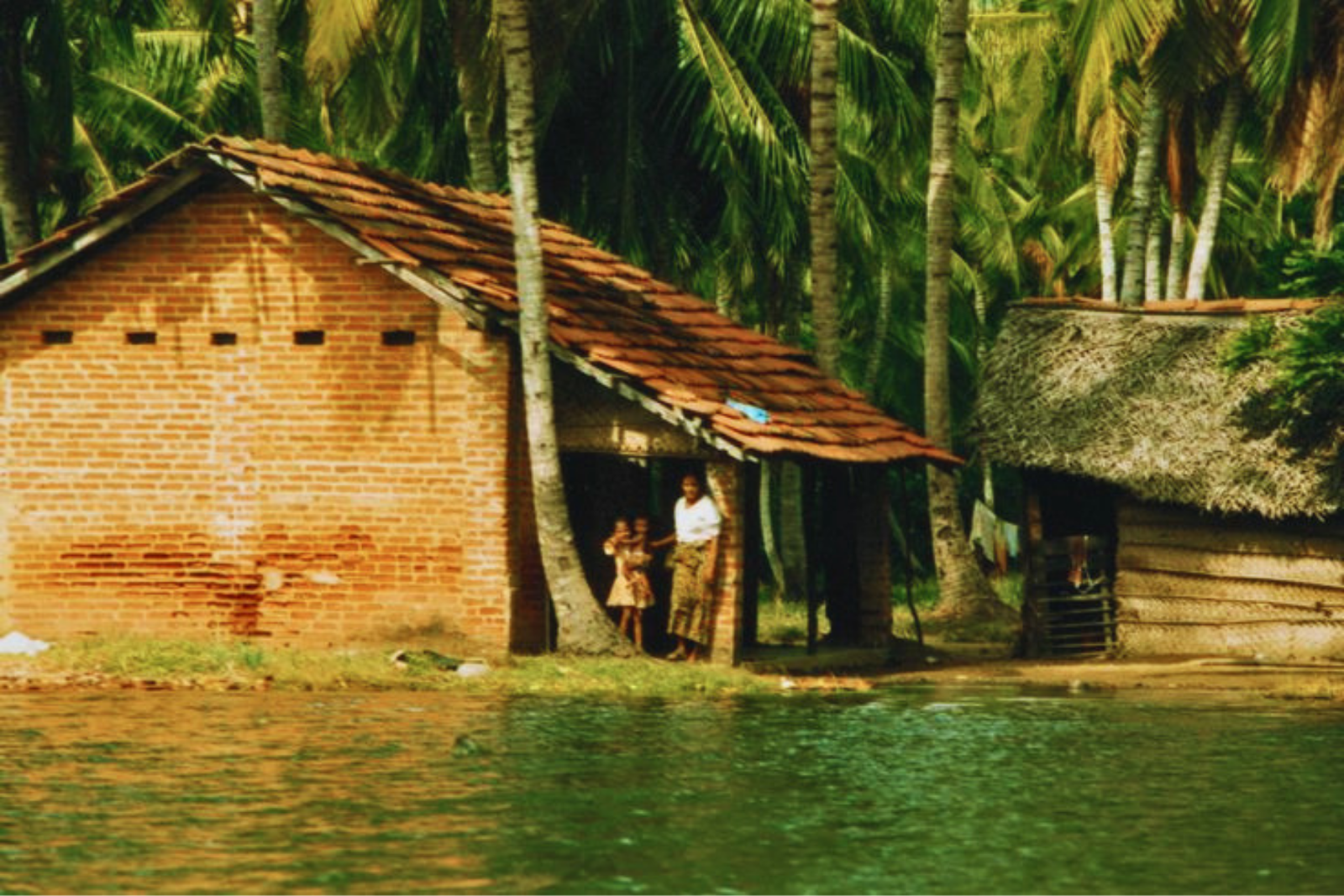 Kochi Village & Backwater Cruise Day Tour