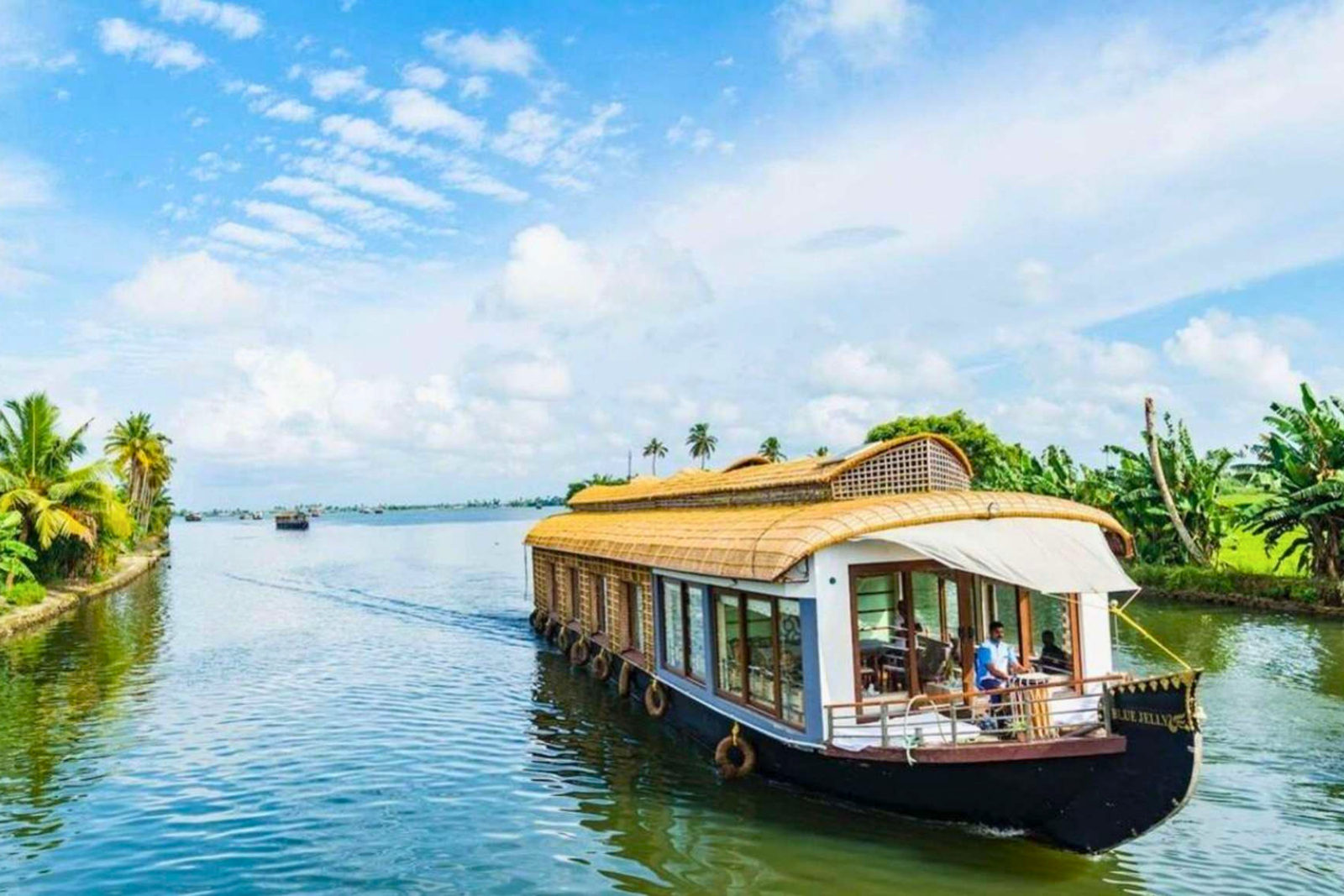 Luxury Alleppey Houseboat Day Tour from Kochi