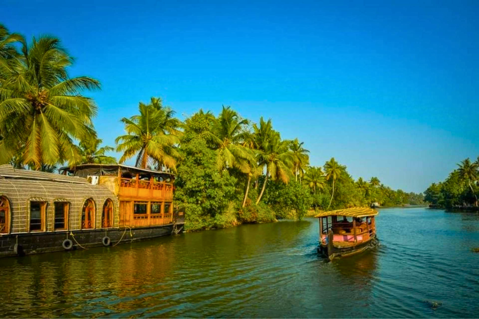 Luxury Alleppey Houseboat Day Tour from Kochi