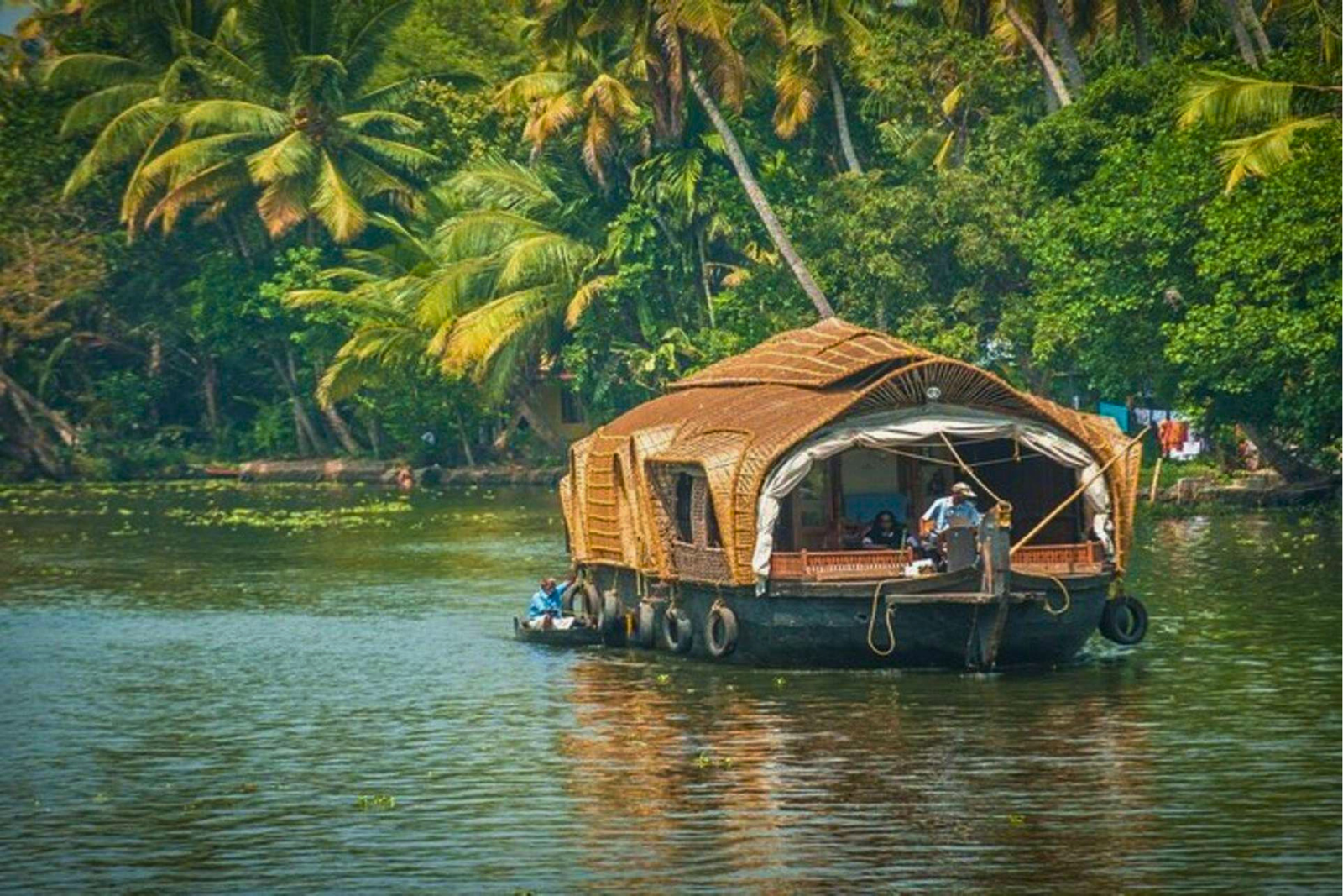 Luxury Alleppey Houseboat Day Tour from Kochi