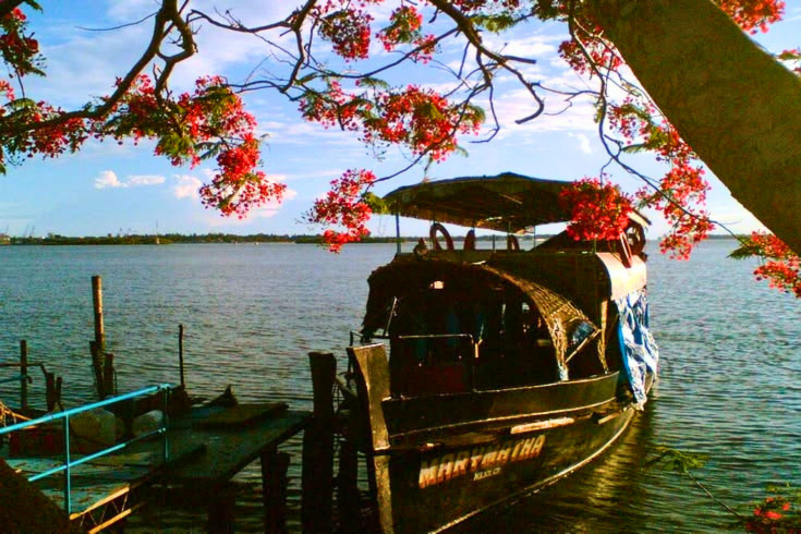 Kochi Full-Day City & Heritage Tour with Pickup