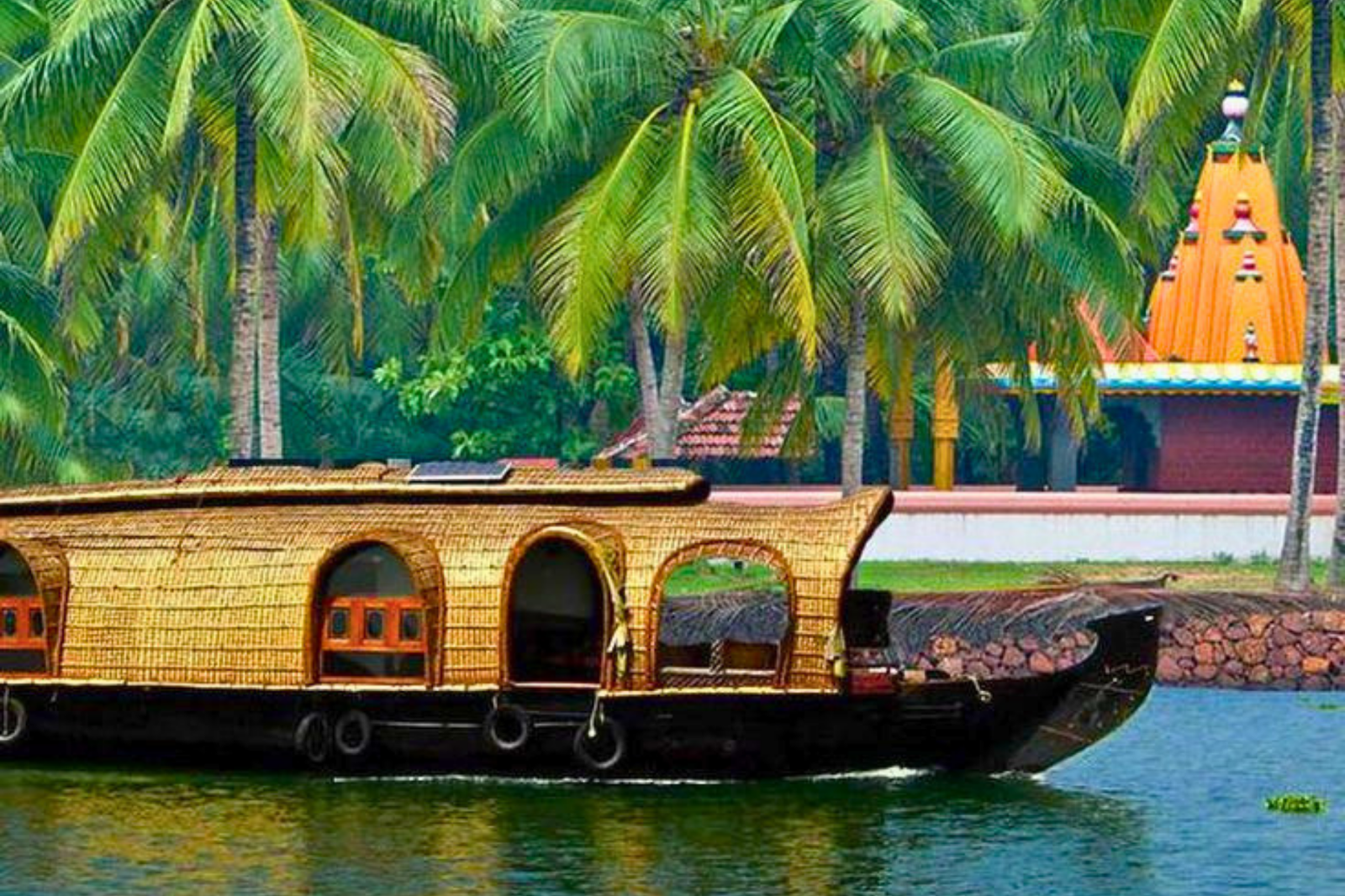 Luxury Alleppey Houseboat Day Tour from Kochi