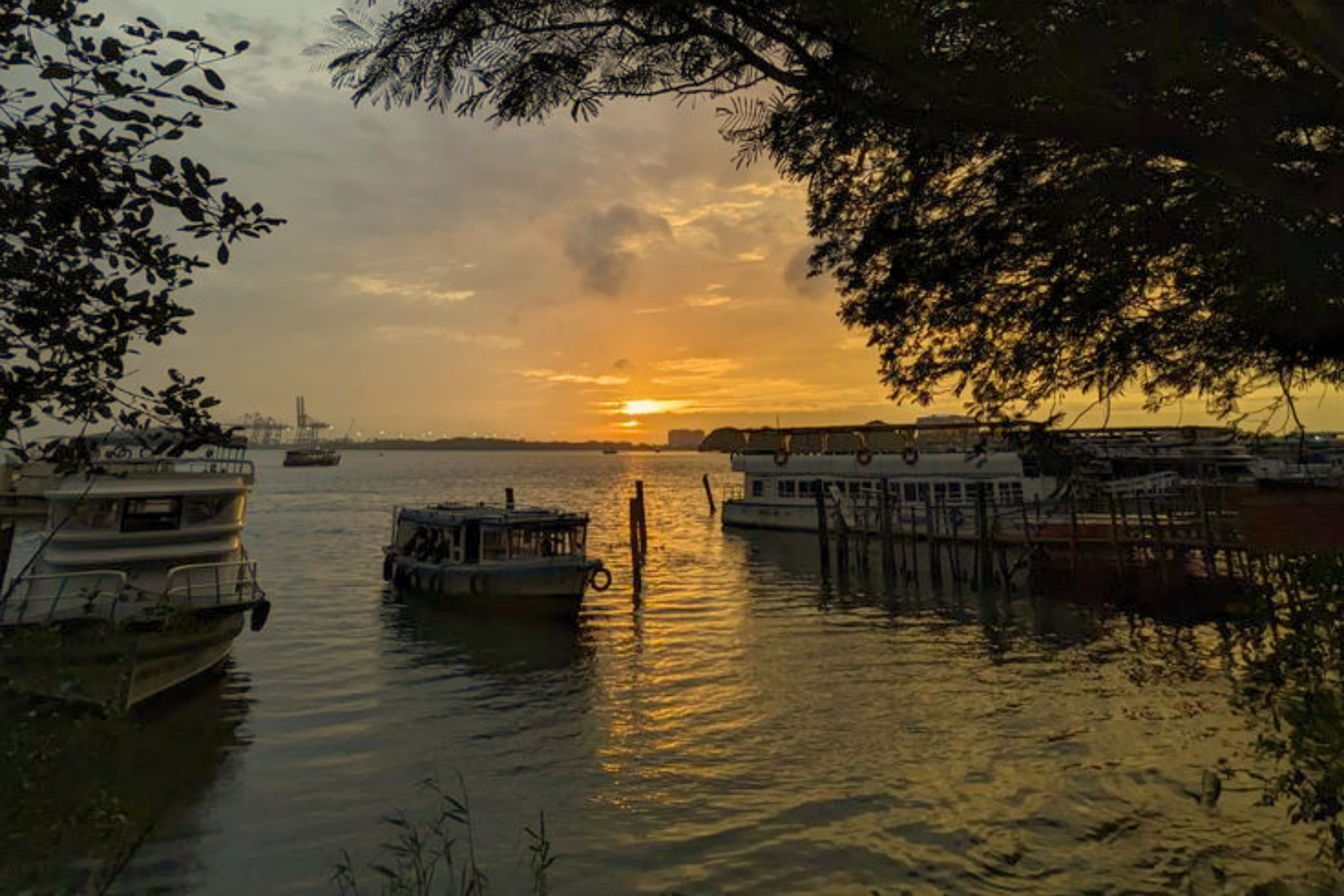 Kochi Evening City Tour with Beach Sunset