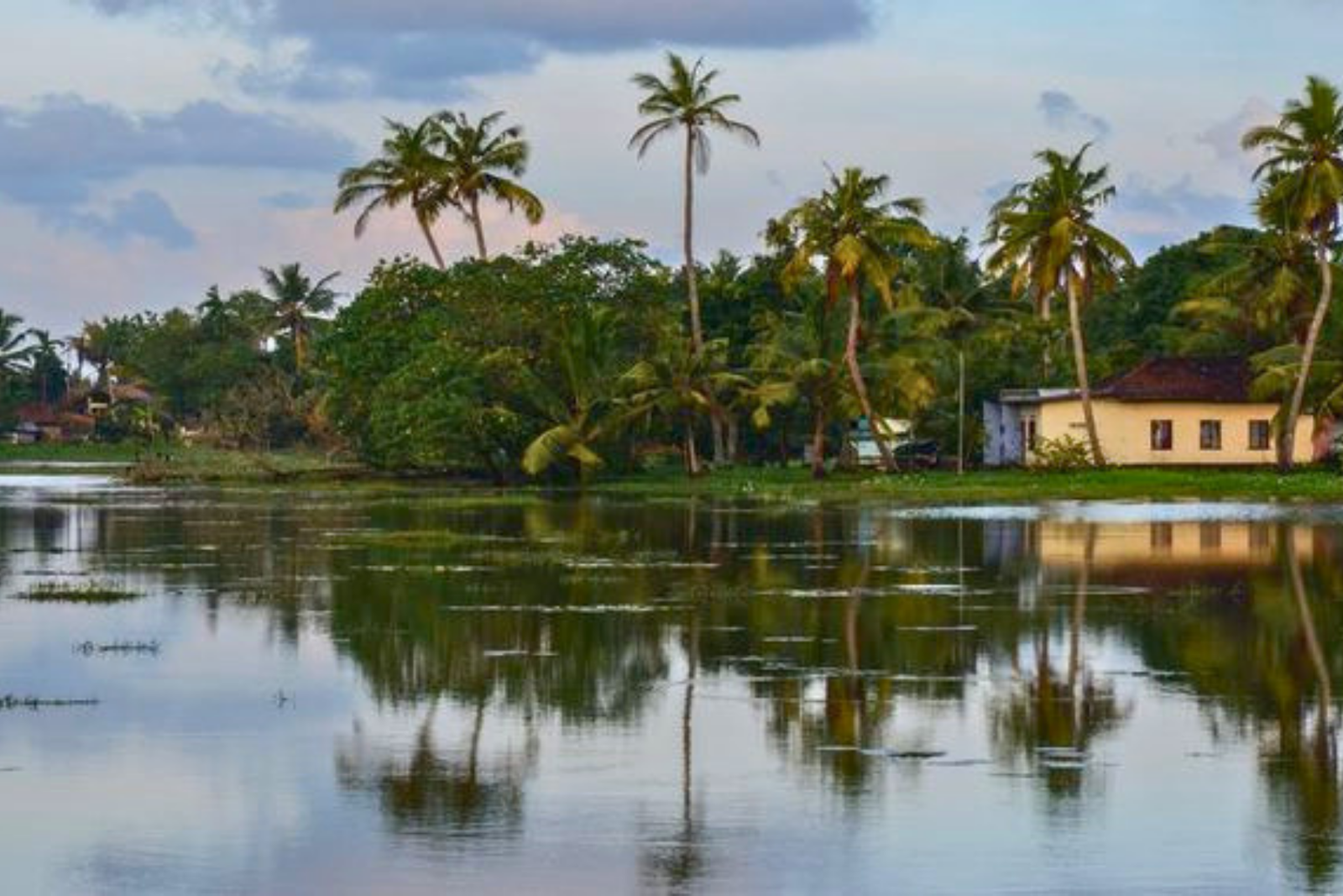Kochi: Create Your Own Itinerary with Private Car & Guide
