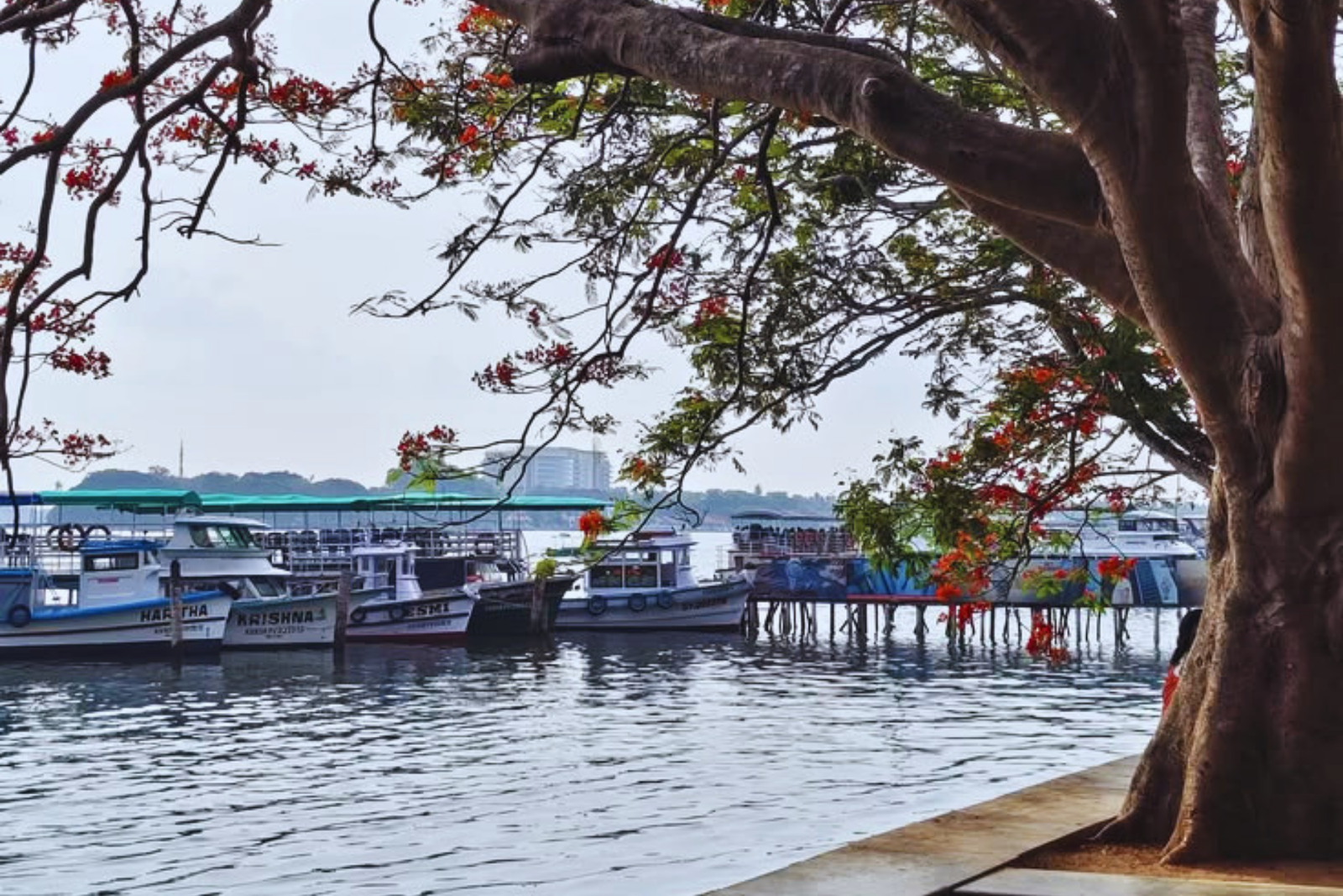Kochi Evening City Tour with Beach Sunset