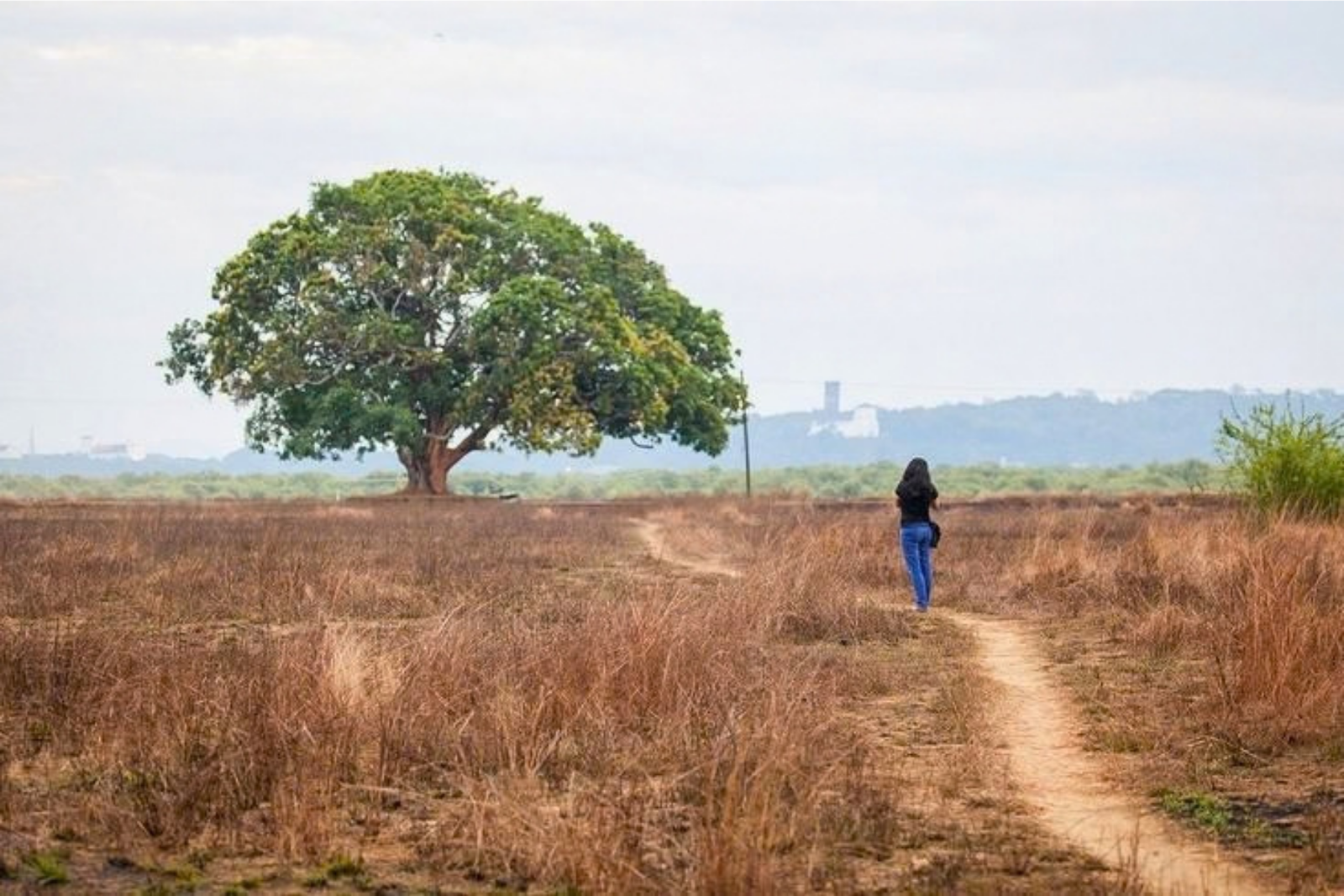 Divar Island Heritage and Village Tour