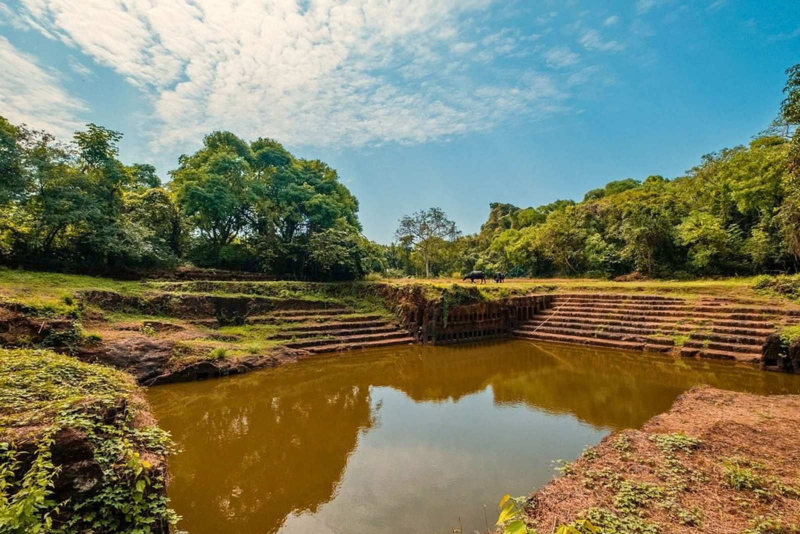 Divar Island Heritage and Village Tour