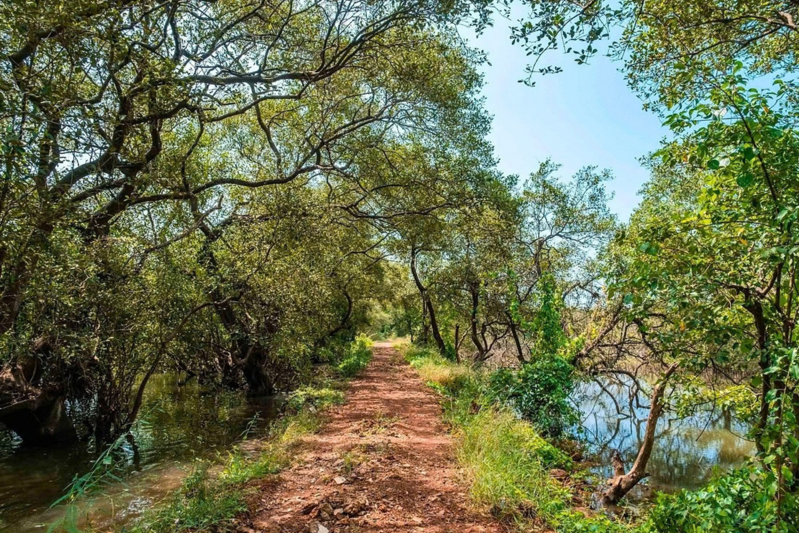 Divar Island Heritage and Village Tour