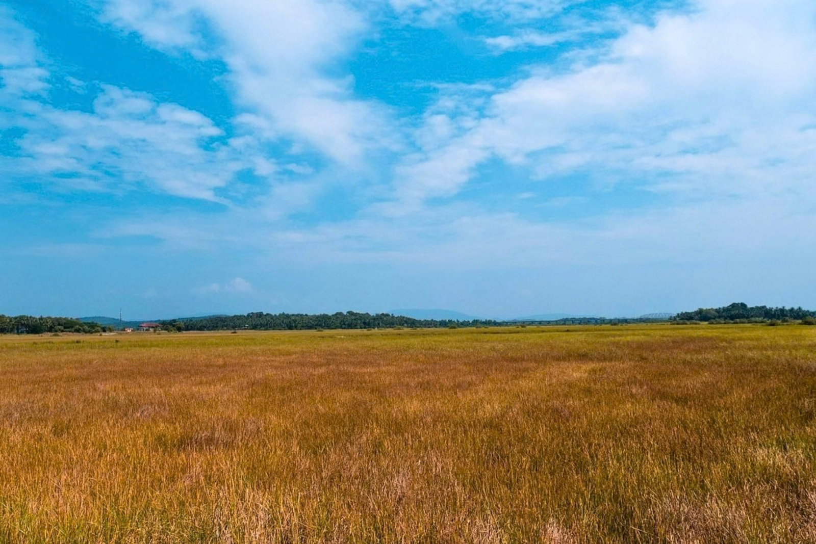 Divar Island Heritage and Village Tour