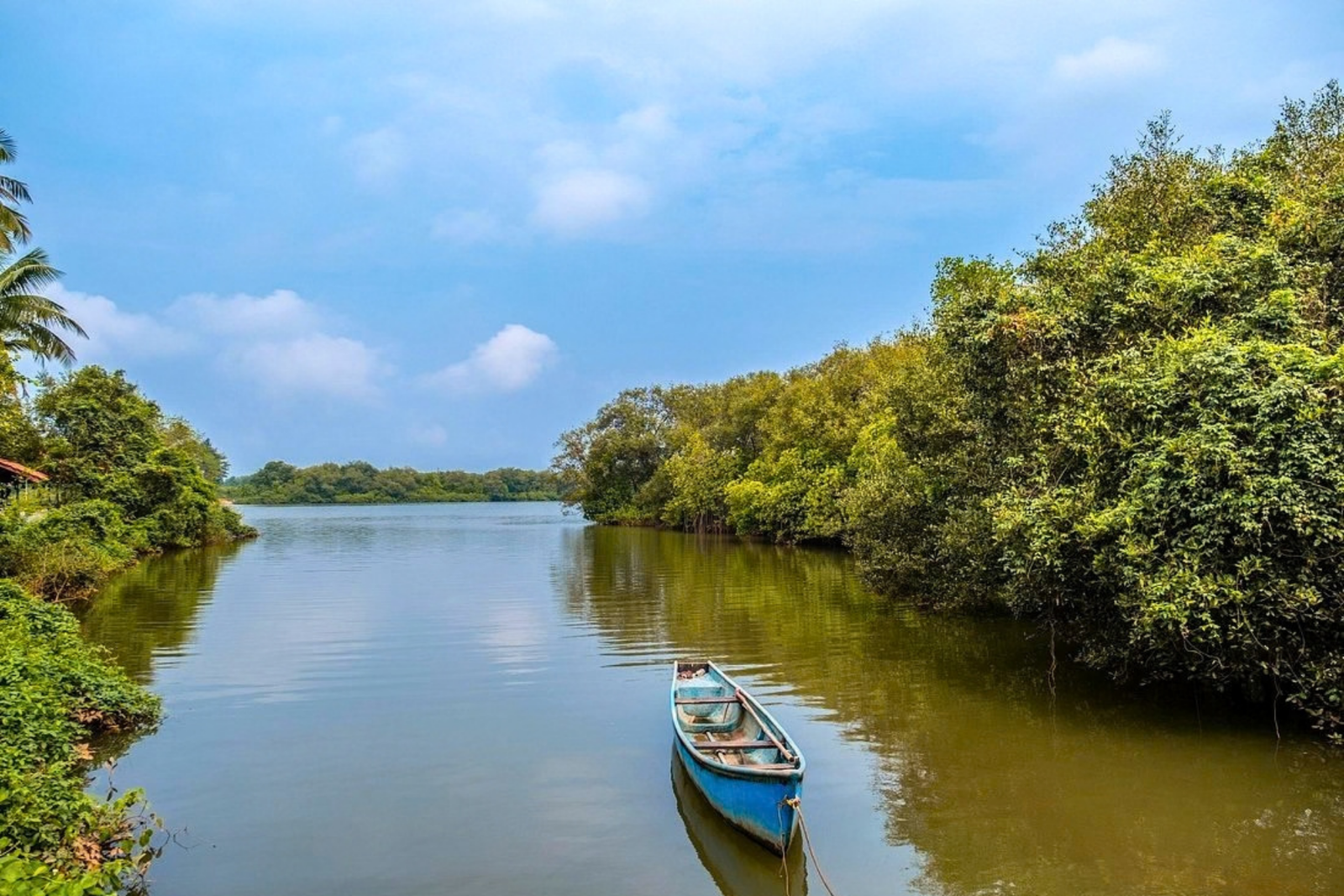 Divar Island Heritage and Village Tour