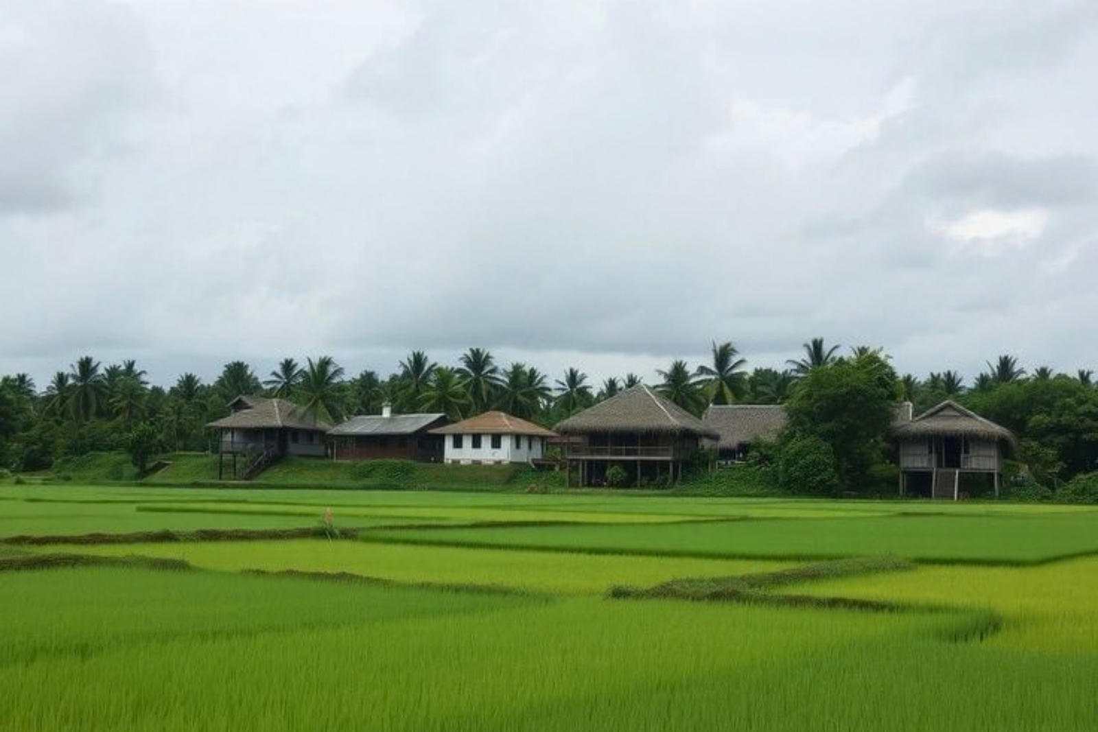 Divar Island Heritage and Village Tour