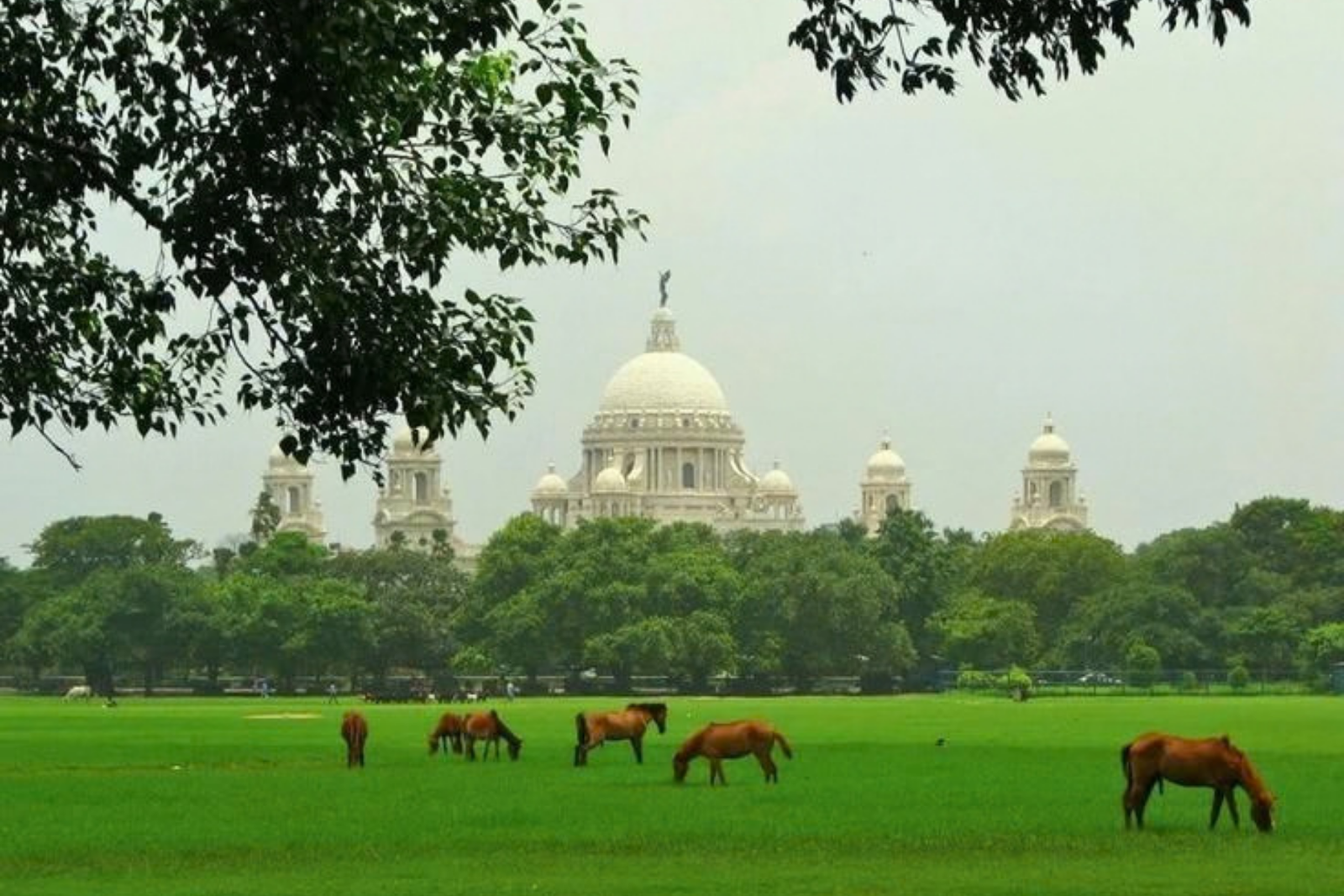 Kolkata Private 3 Day Heritage and Culture Tour
