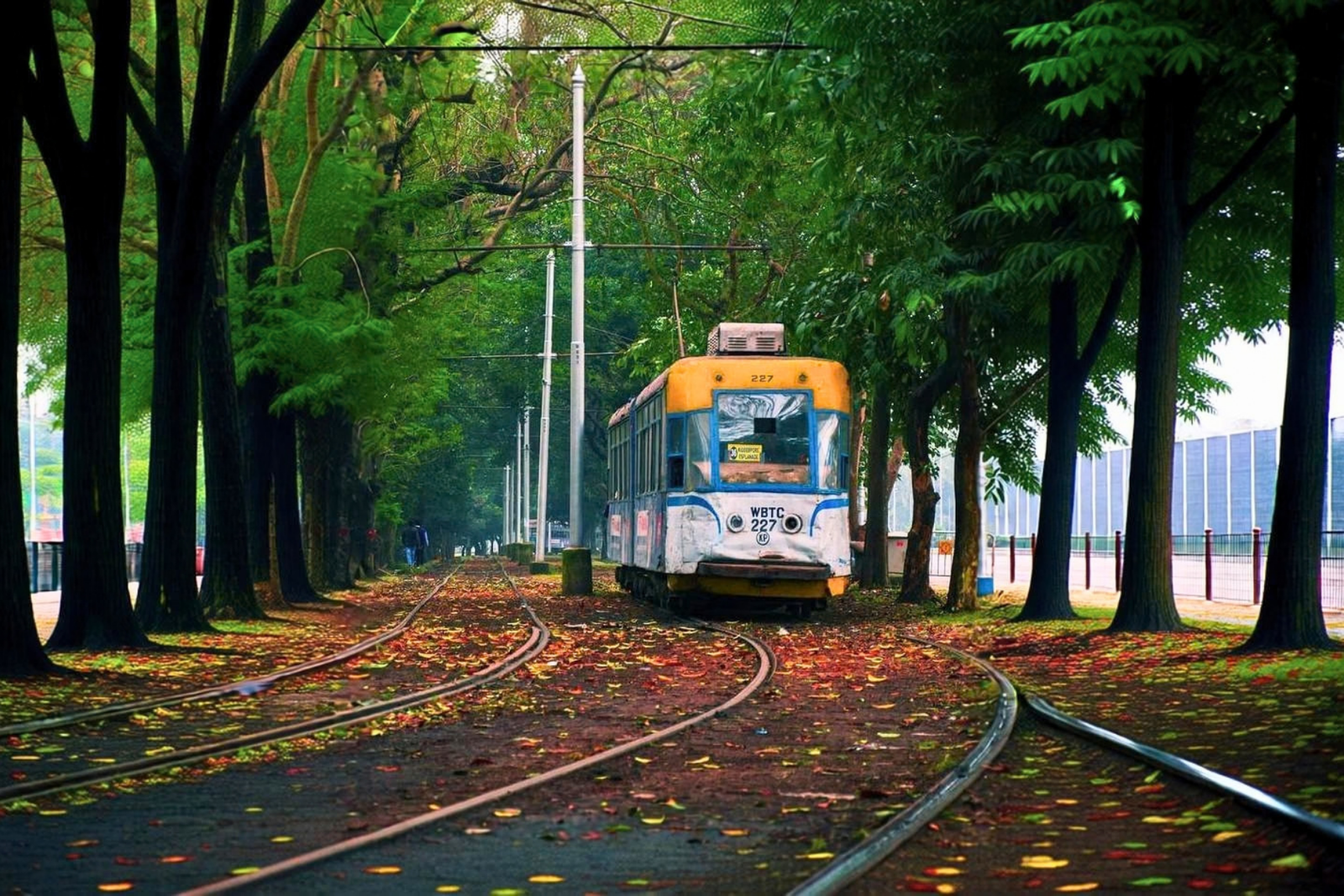 Kolkata Private Half Day City Tour