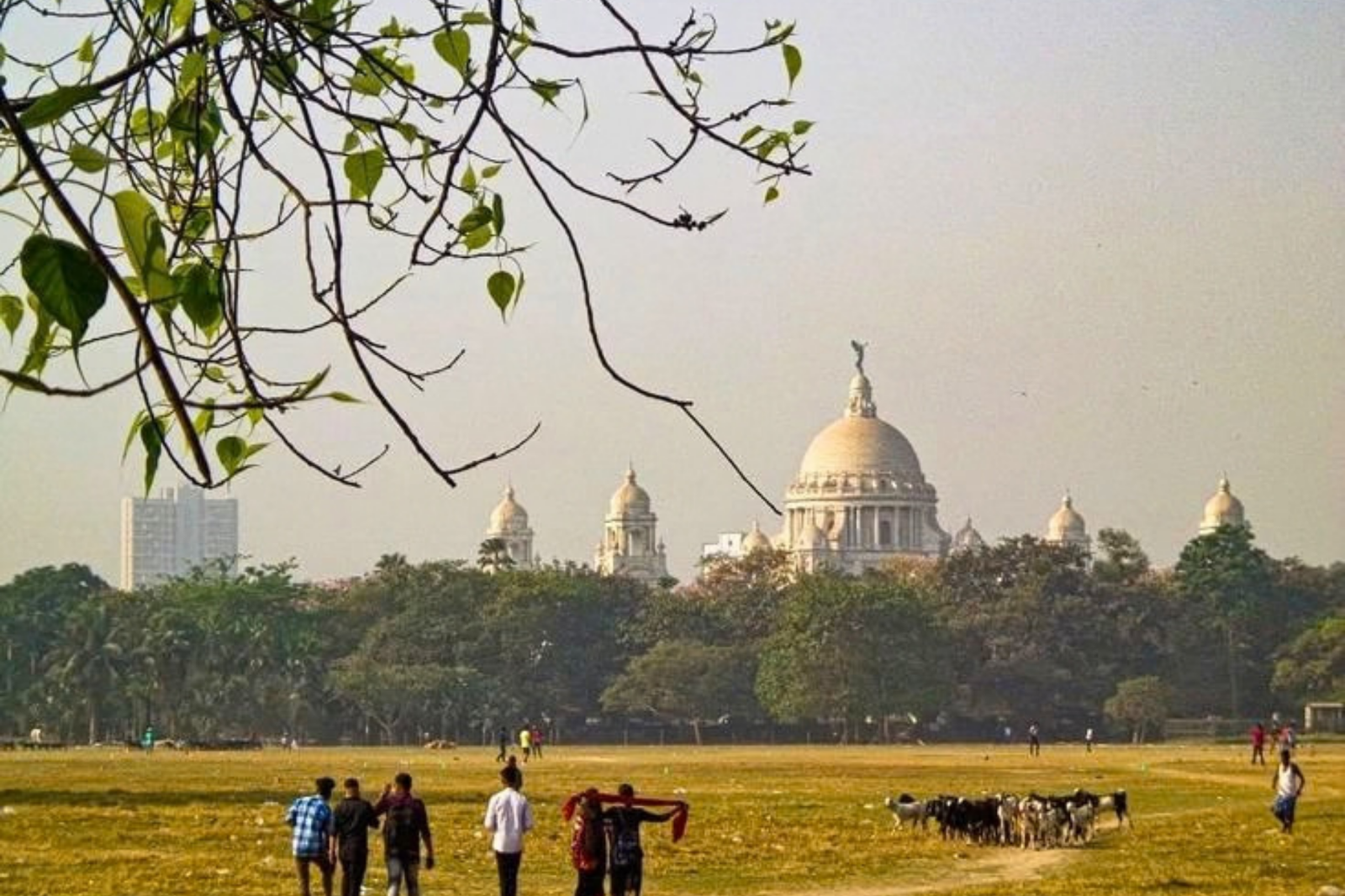Kolkata Culture Kaleidoscope Walking Tour