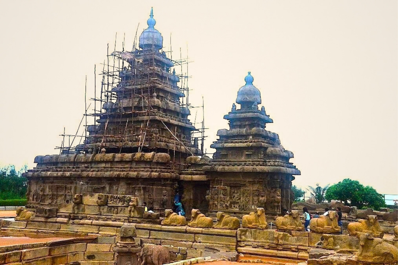 Chennai to Mahabalipuram Private Full Day Tour